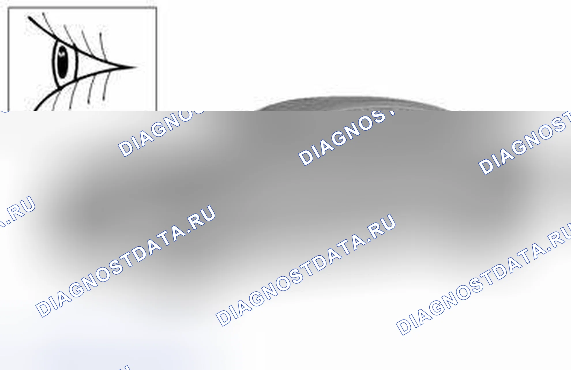 Рис. 360: ВНЕШНЯЯ ОЧИСТКА. Volvo S80 II