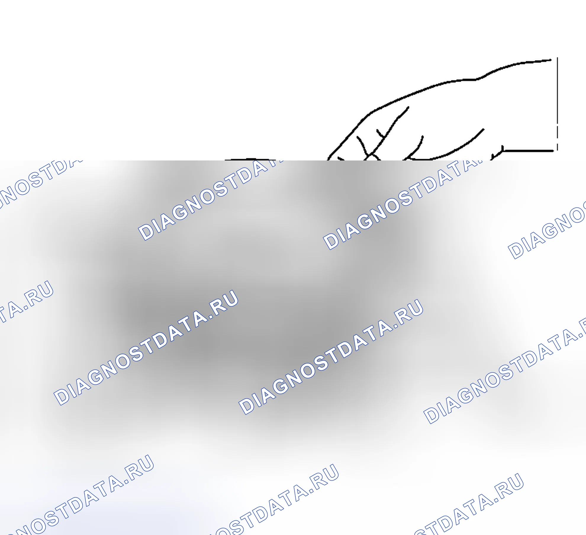 Рис. 2269. Honda Edix I