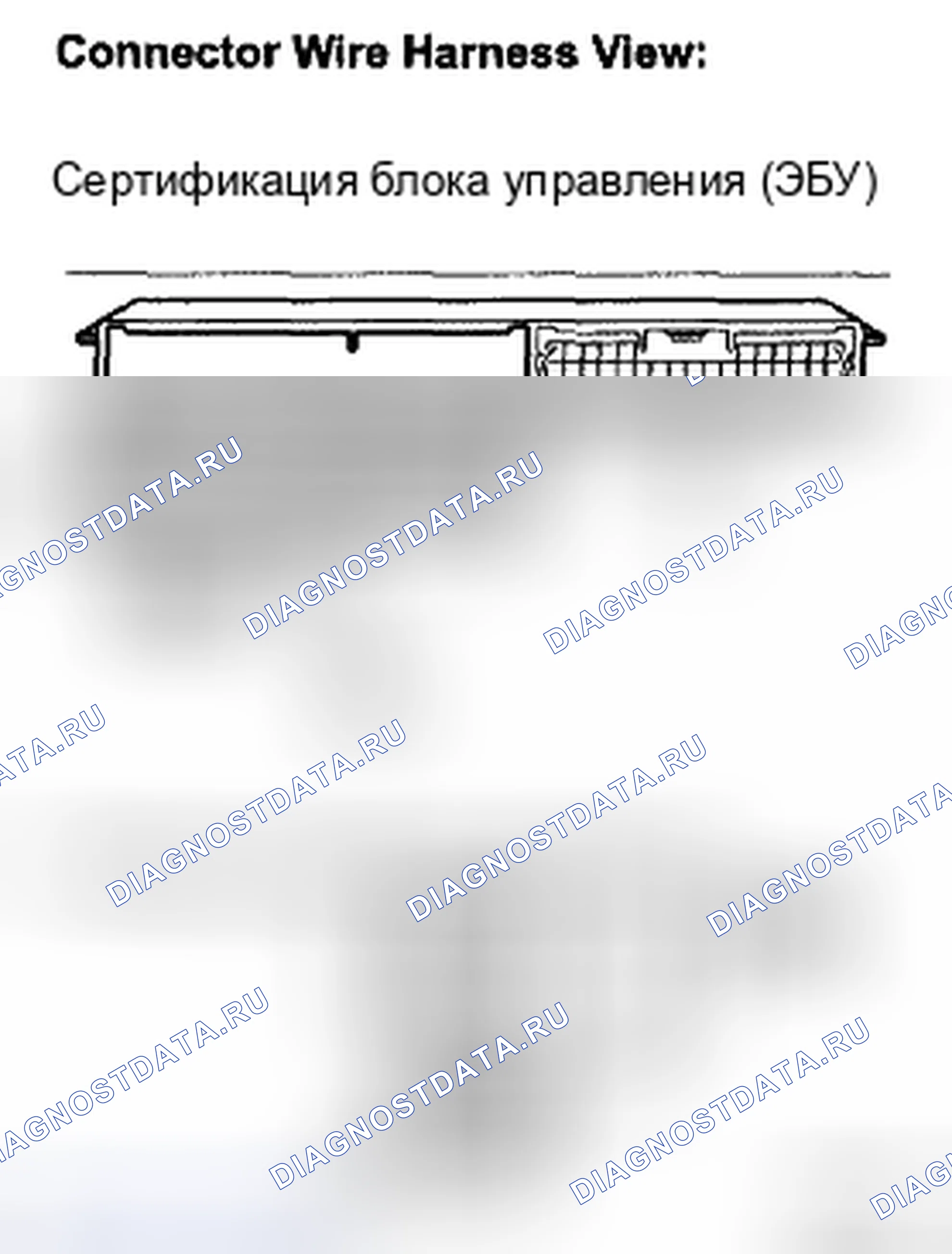Рис. 185. Toyota Camry XV40
