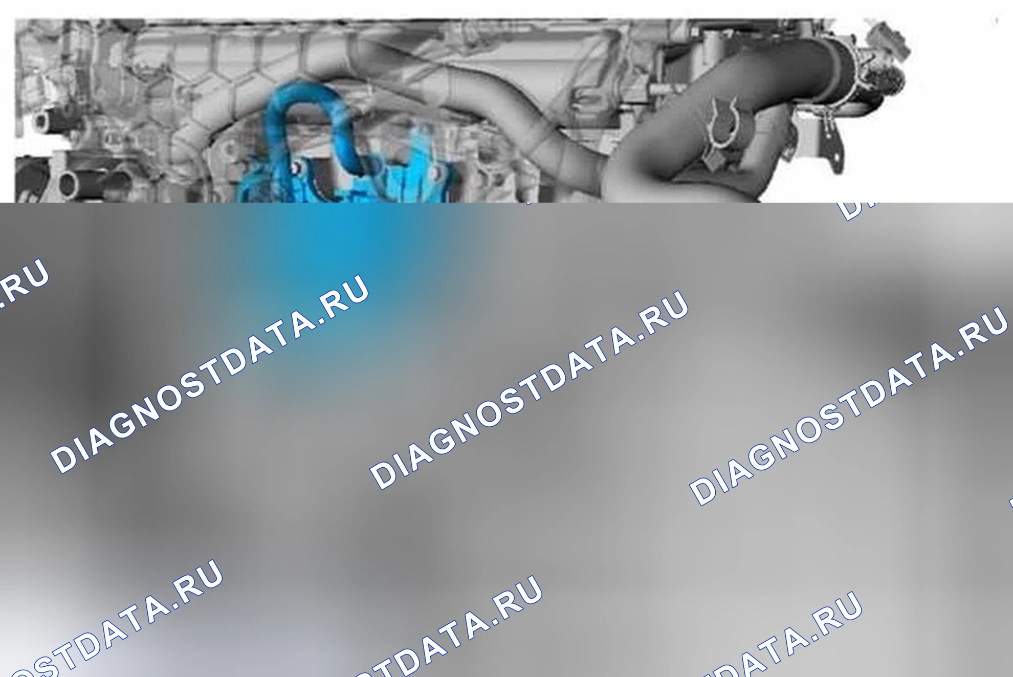 Рис. 2: GTDI 2.0 л. Ford Escape III