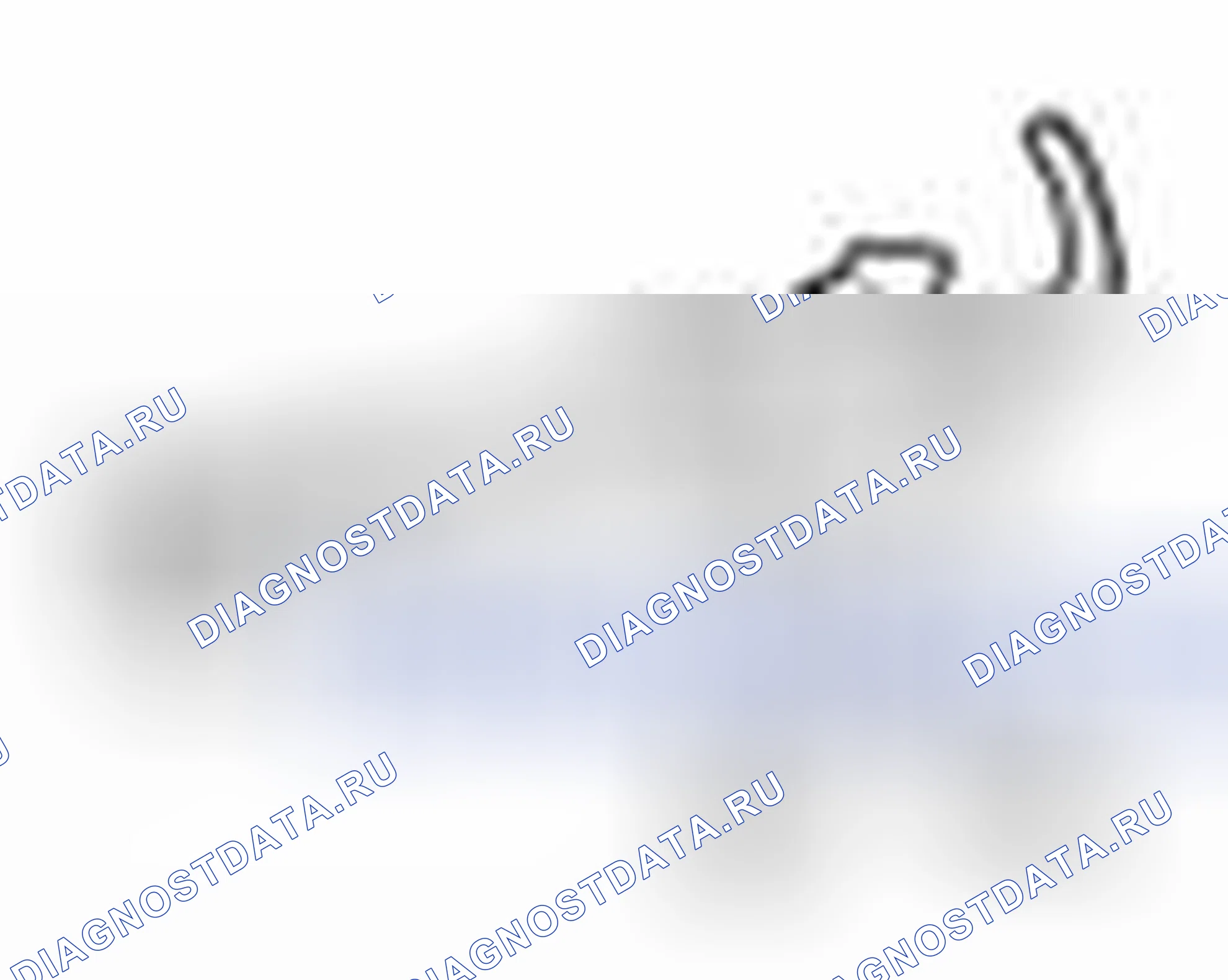 Рис. 6. Kia Rio II рестайлинг