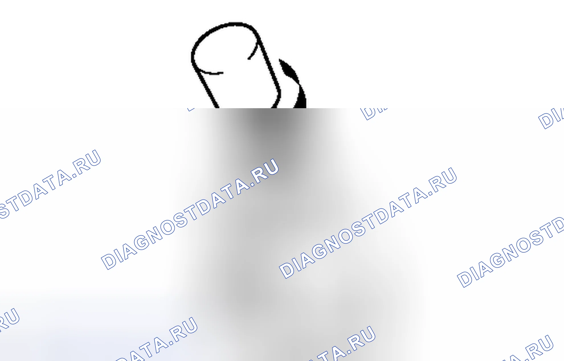 Рис. 329. Toyota FJ Cruiser I