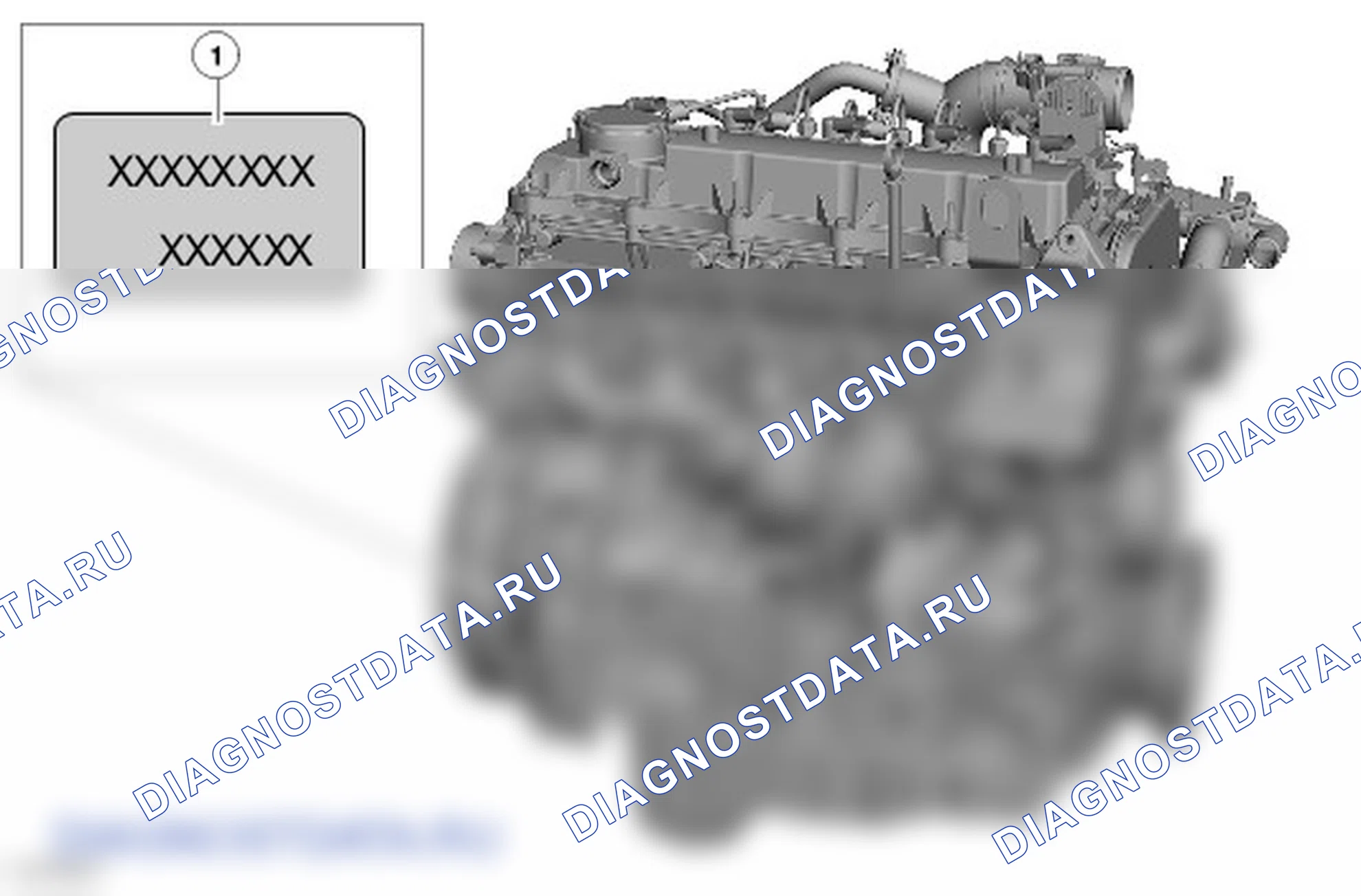 Двигатель: описание и работа. Ford Ranger T6