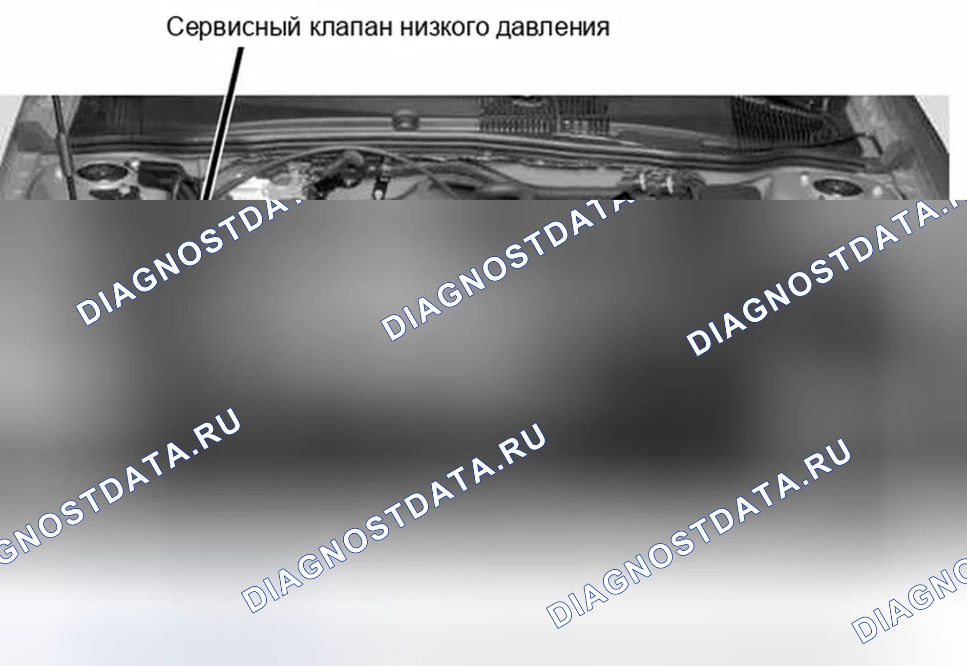 Рис. 20. Ford Escape I