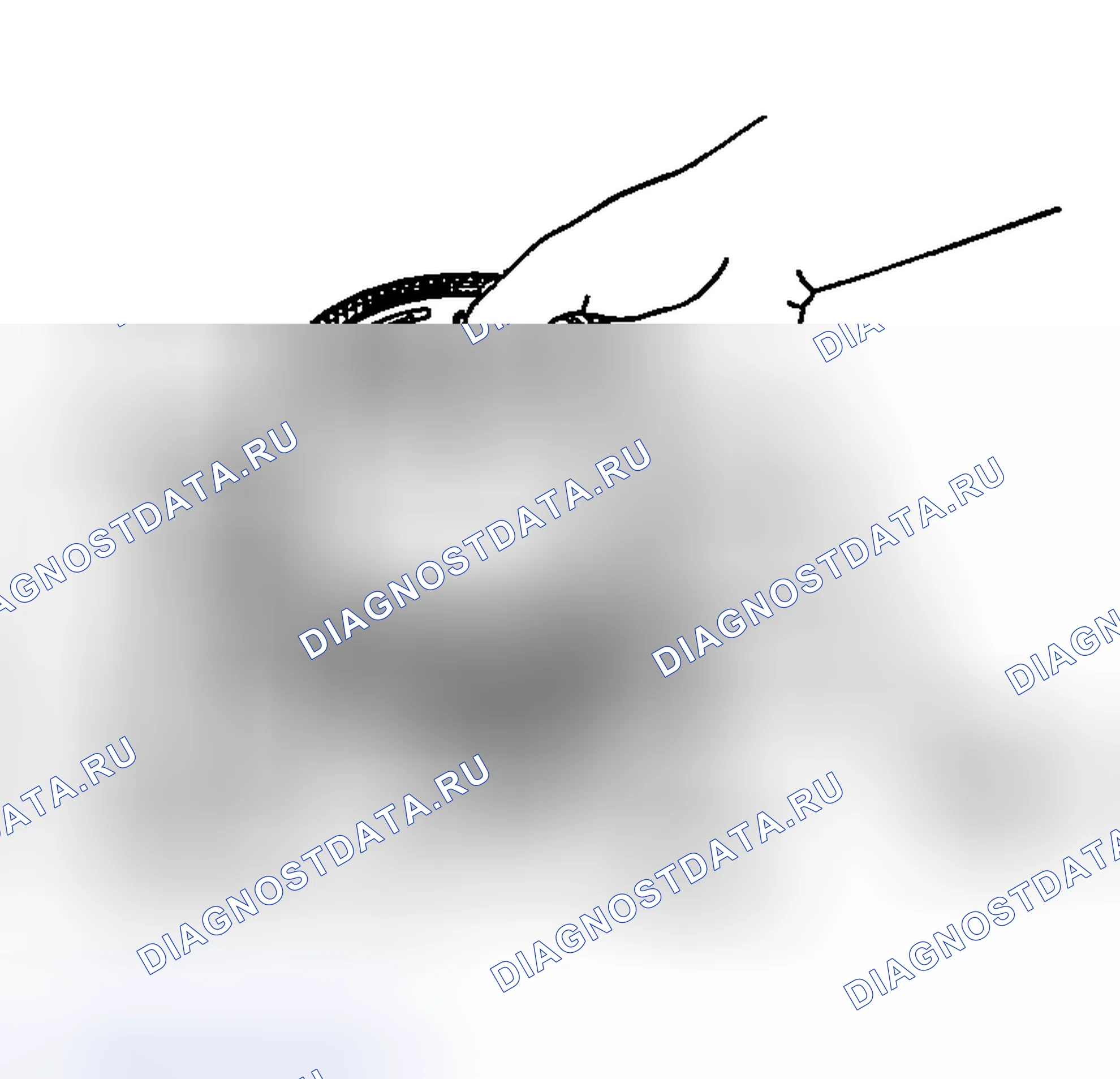 Рис. 2261. Honda Edix I