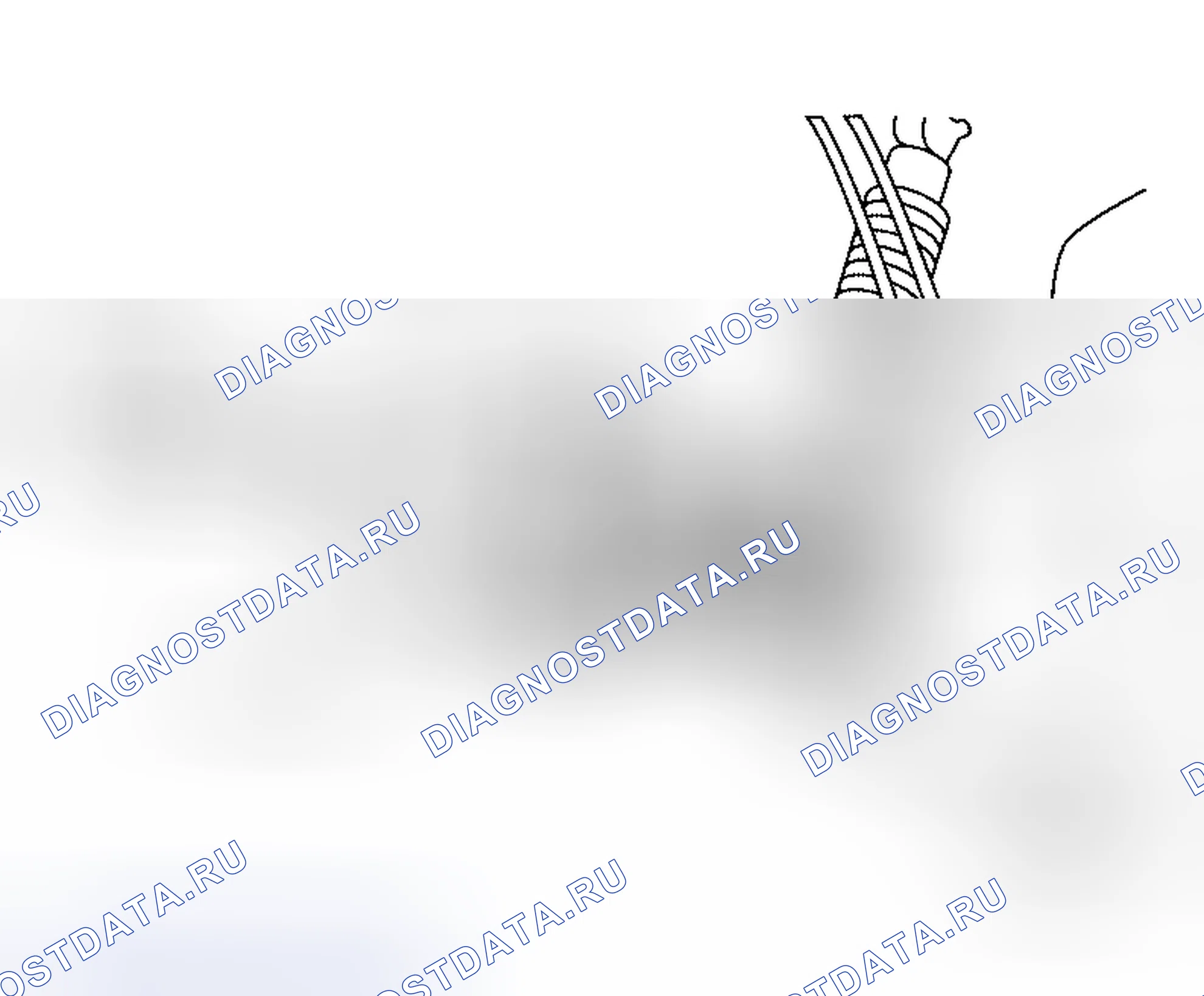 Рис. 166. Honda Odyssey I