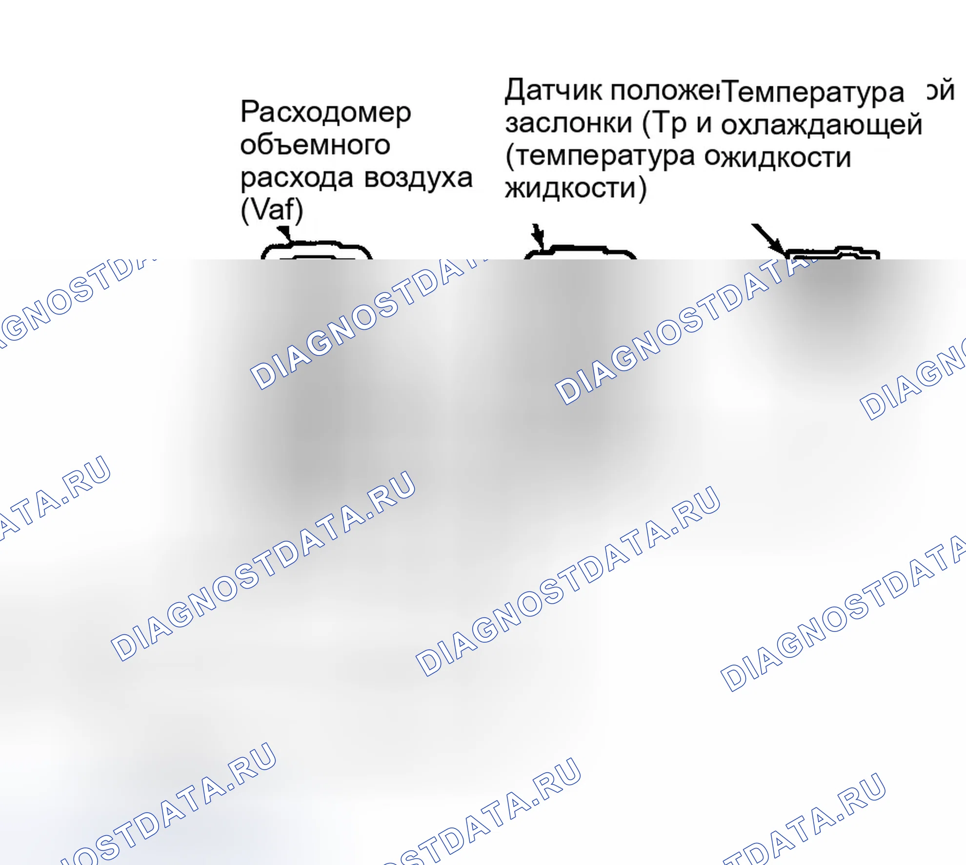 Рис. 177: Идентификация клемм разъема VREF (1,8 л A / T). Ford Escort V рестайлинг