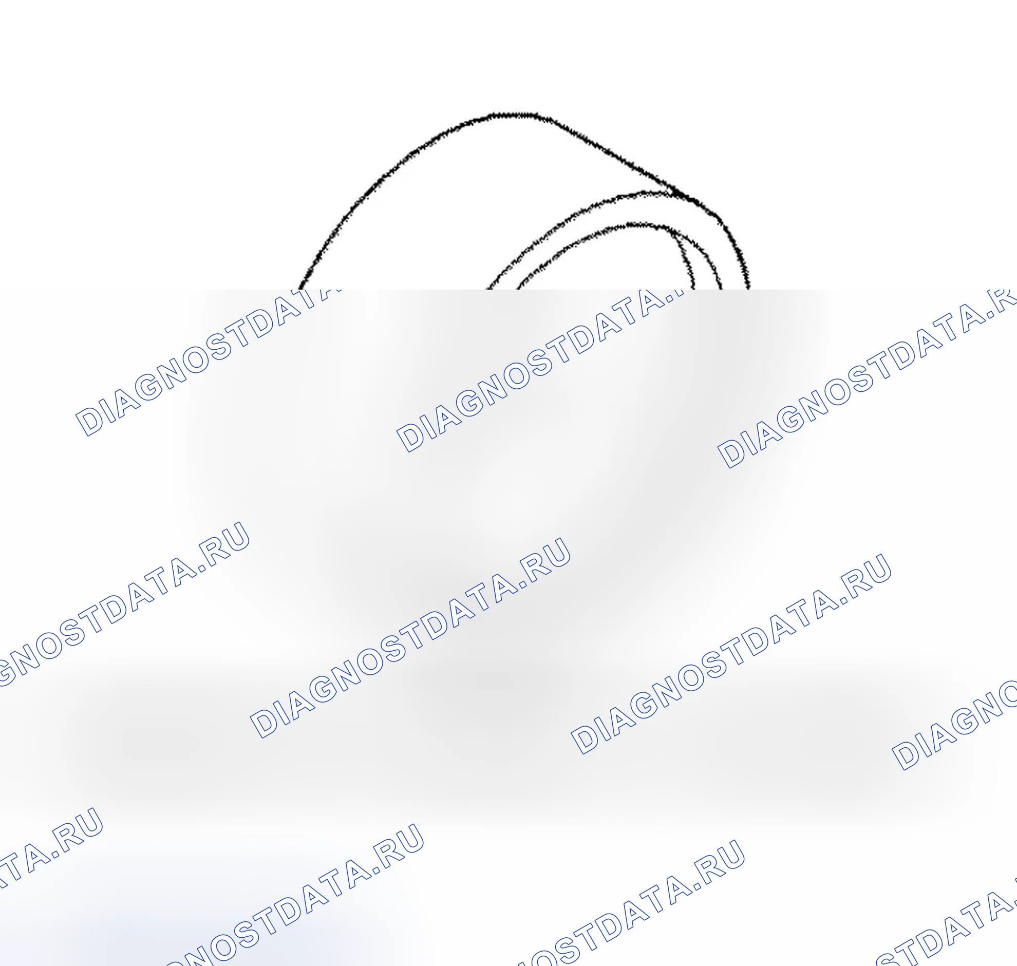 Рис. 450. Dodge Pickup R1500 