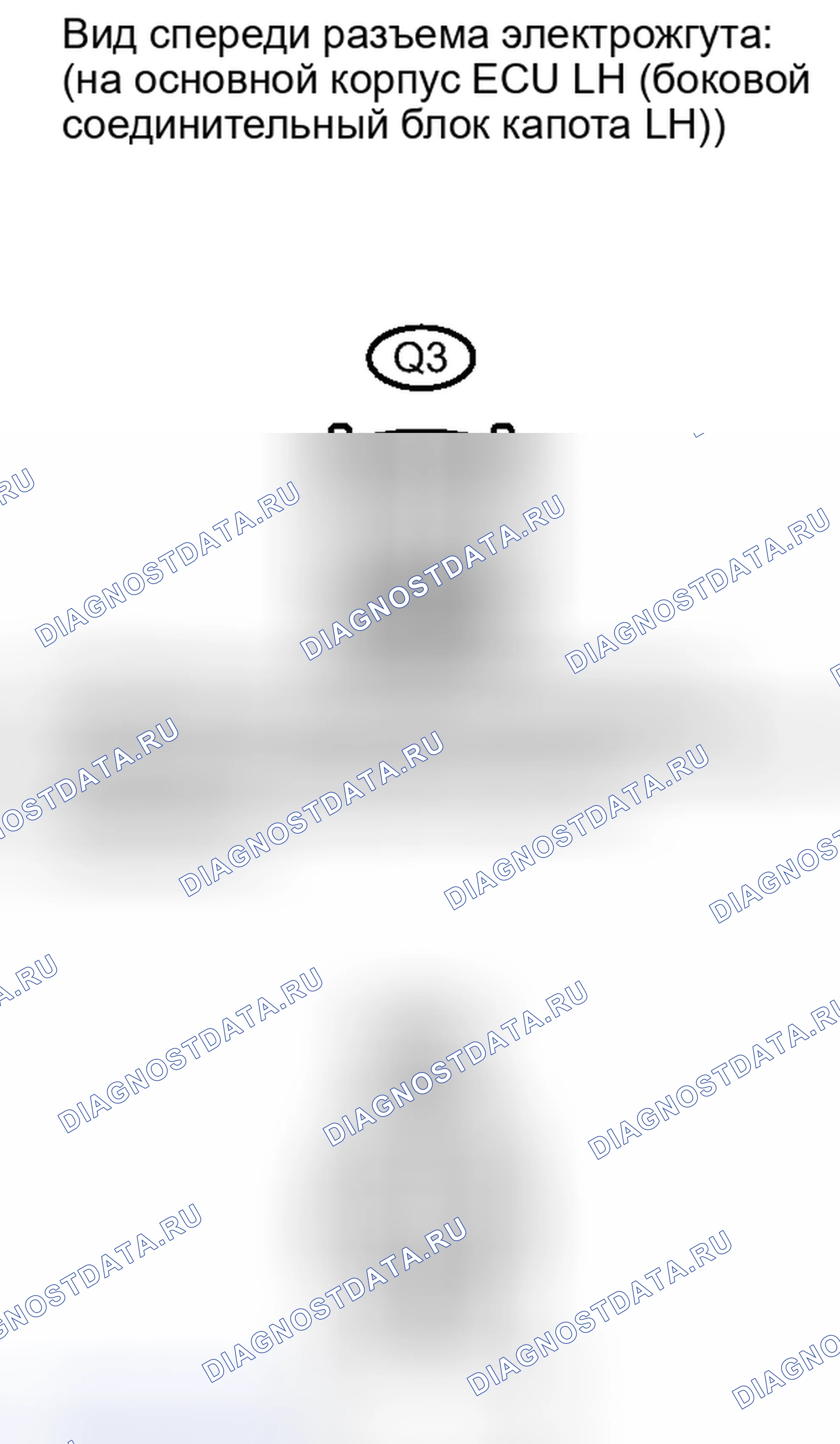 Рис. 250. Lexus IS F I