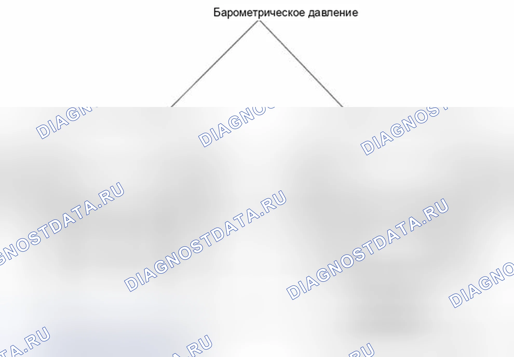 Рис. 11: Описание тестирования и диагностики систем управления двигателя. Kia Sedona II рестайлинг
