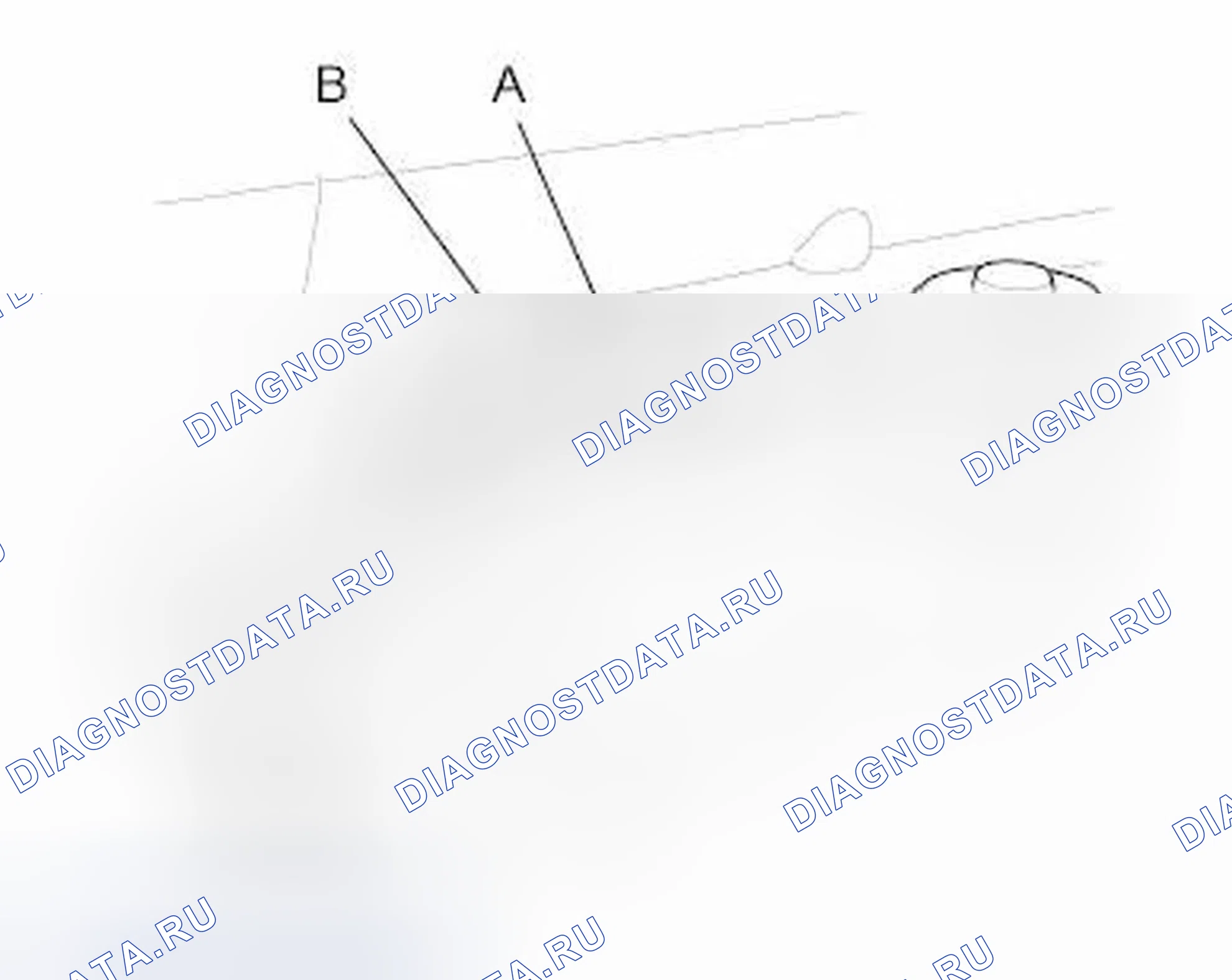 Рис. 7: Испытание на герметичность. Honda Element YH2 рестайлинг 2