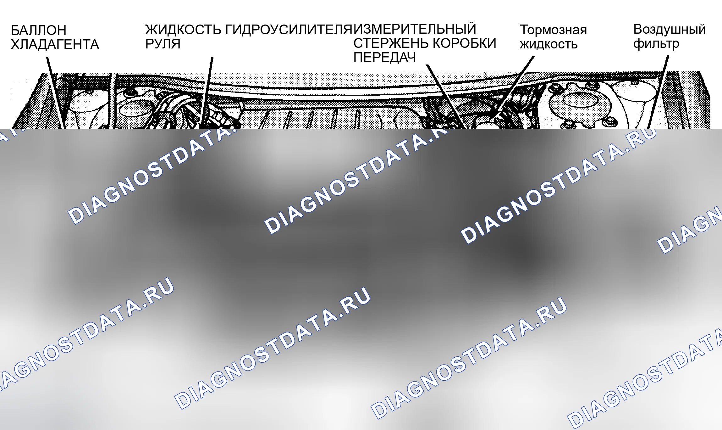 Рис. 5. Hyundai Veloster II