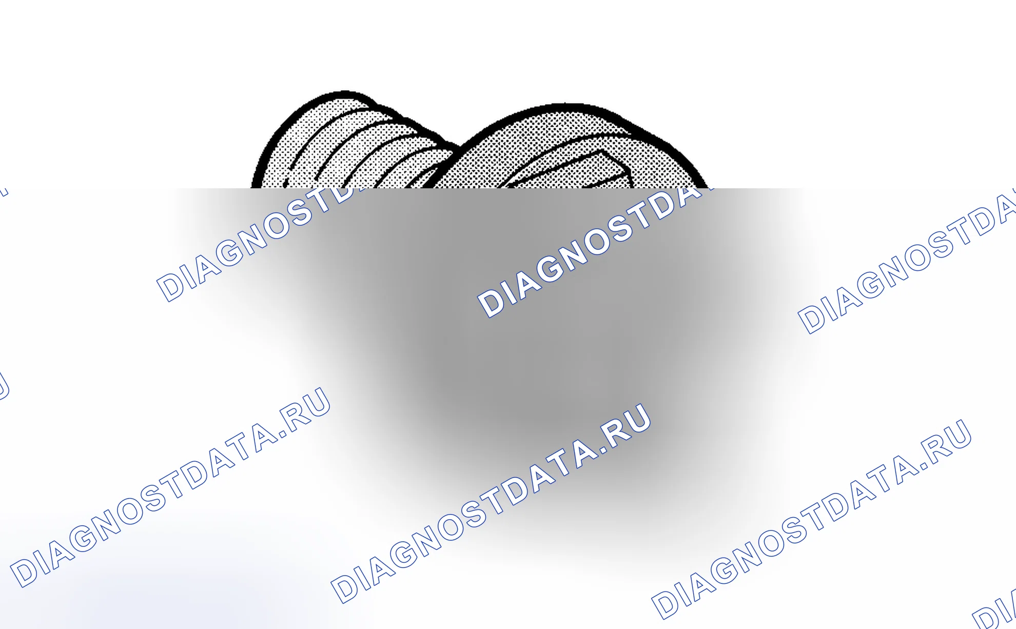 Рис. 345. Volvo C70 I
