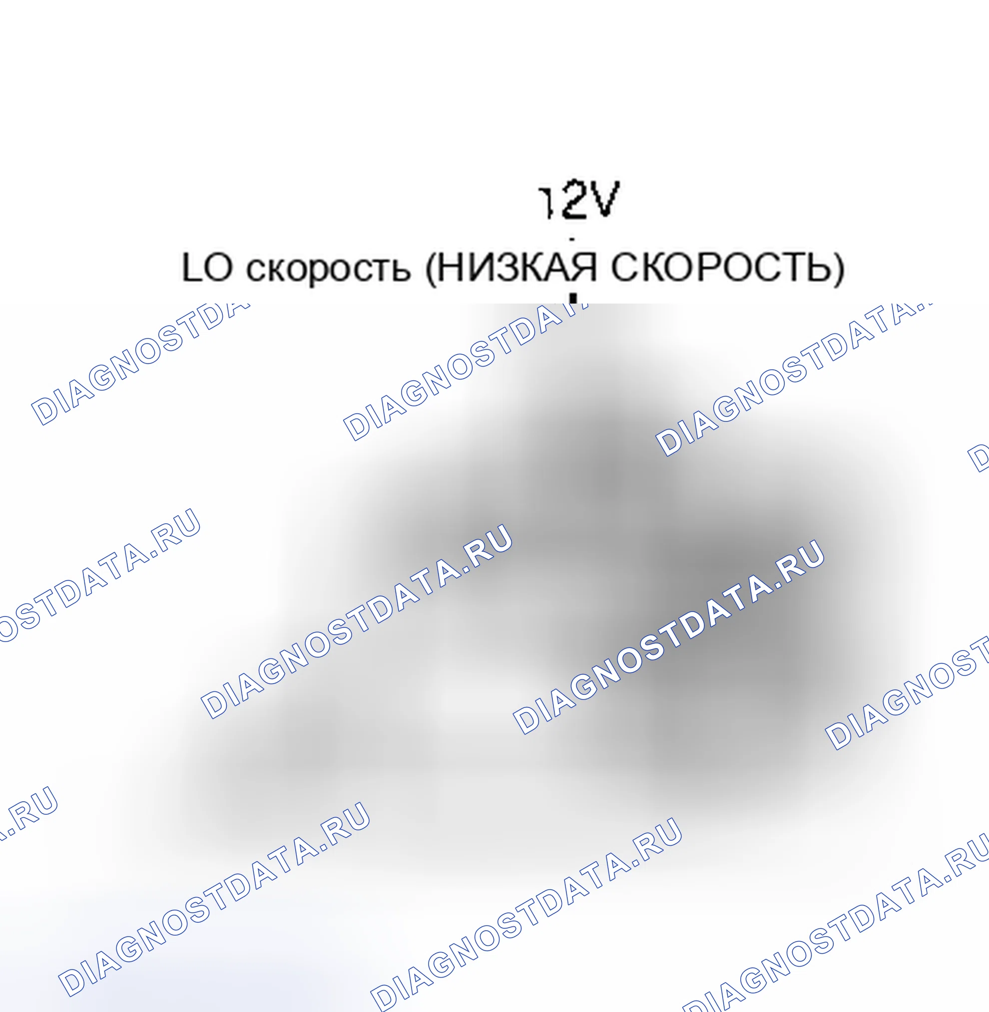 Рис. 8. Hyundai Staria I