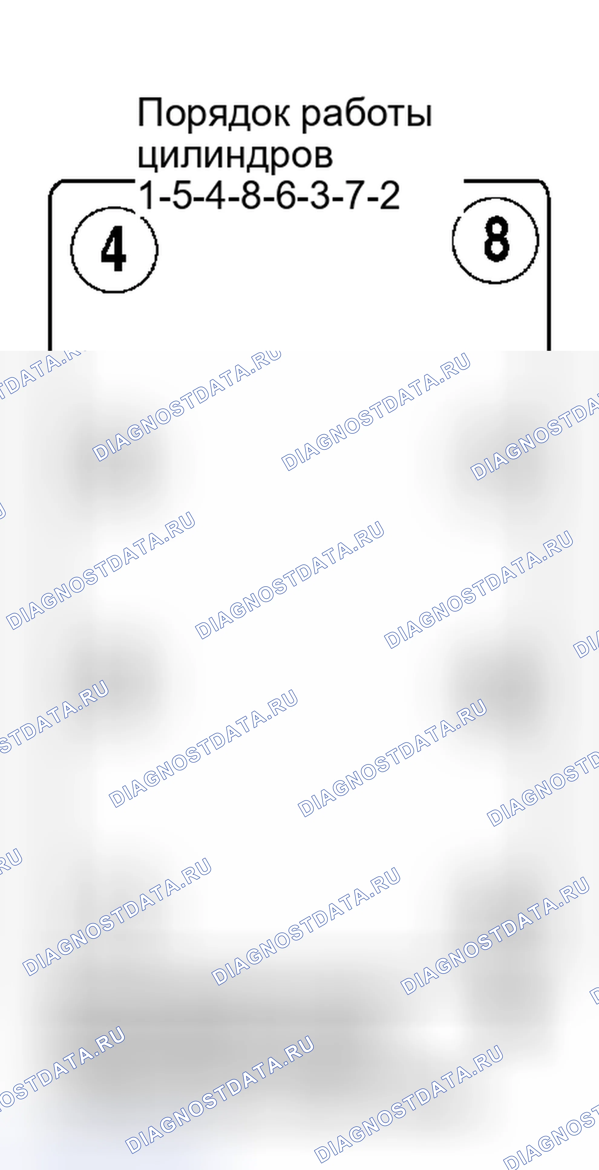 Рис. 9: порядок работы цилиндров (V8). BMW Z8 E52