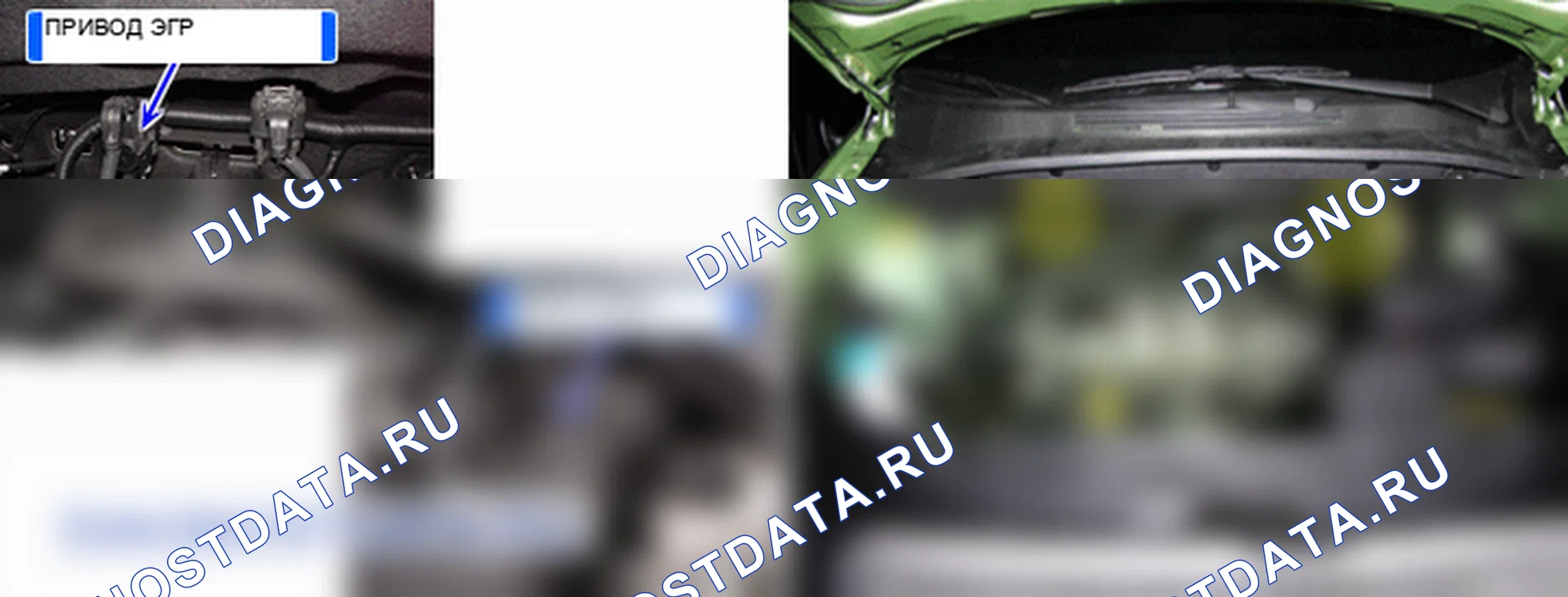 P0401: Обнаружен недостаточный поток рециркуляция отработавших газов. Kia Sportage KM