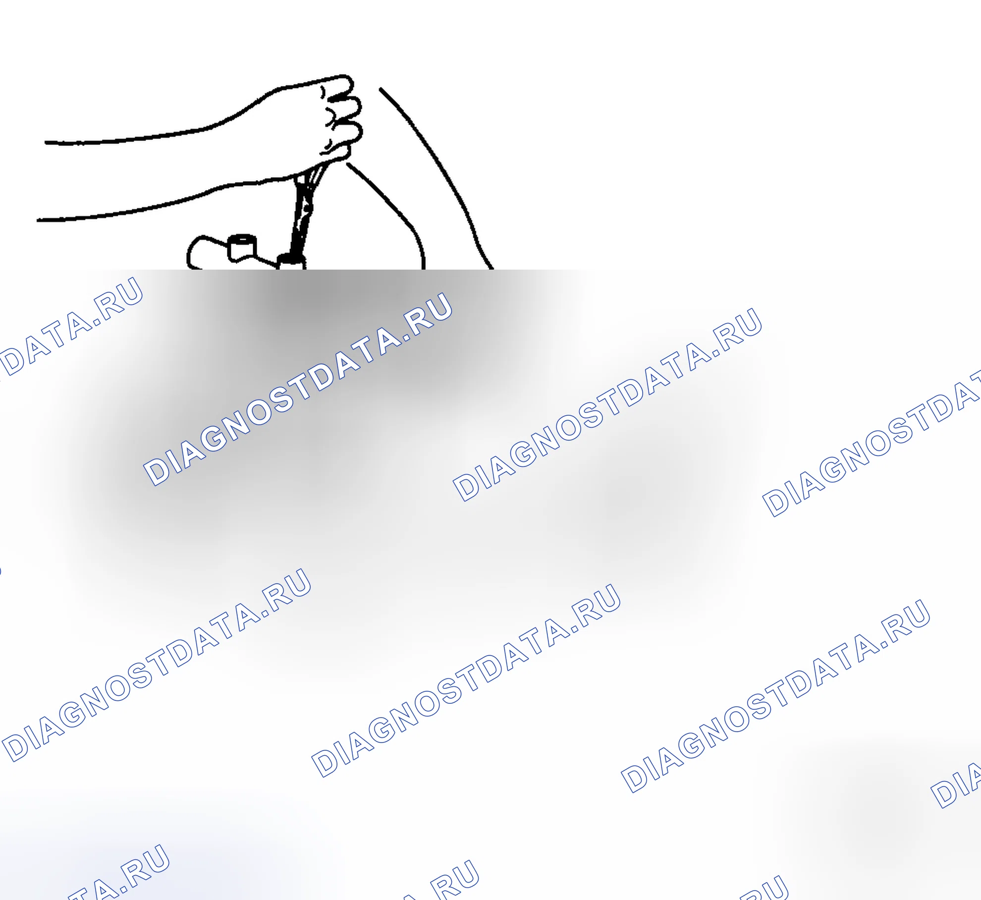 Рис. 54. Haval Chitu I
