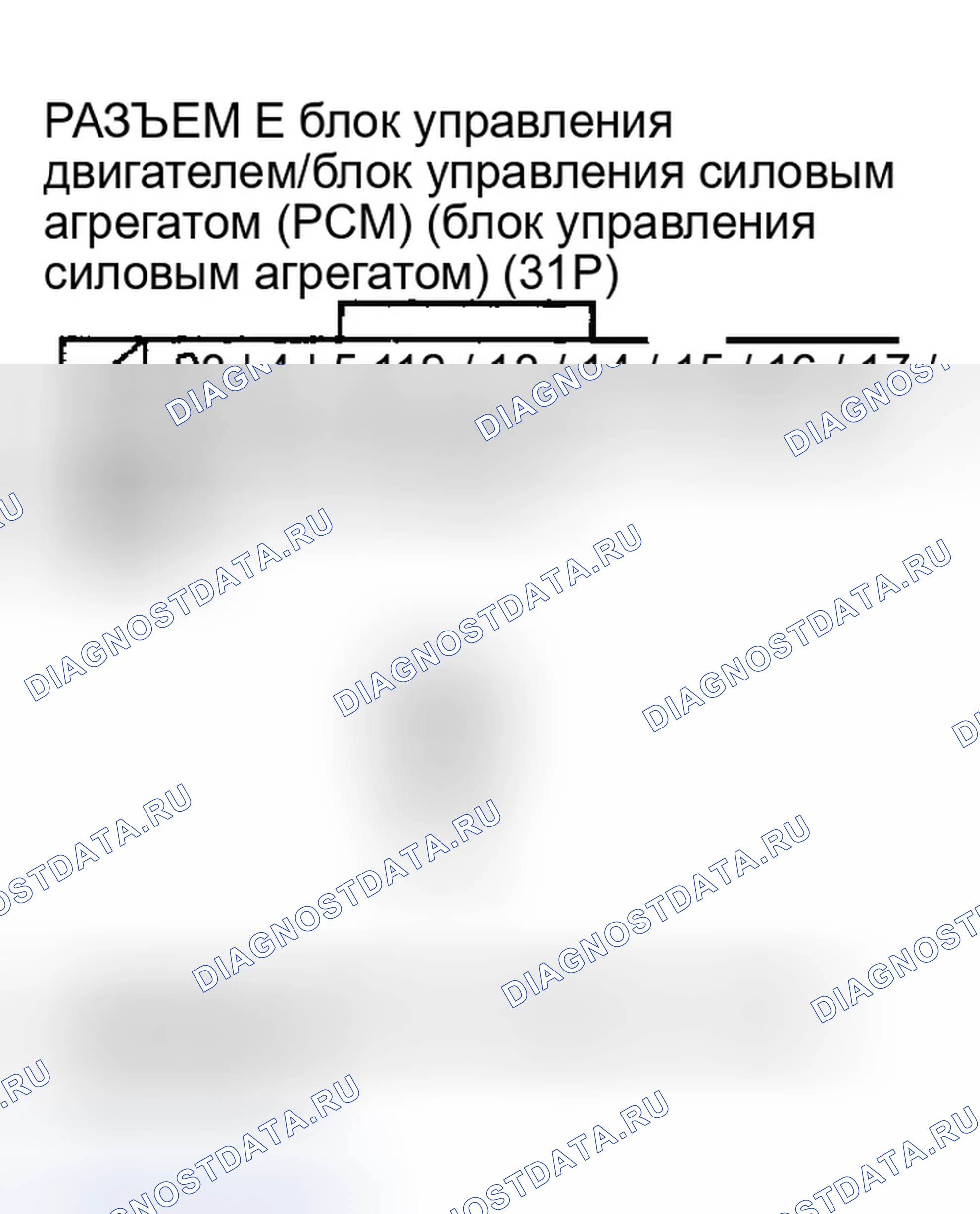 Рис. 161. Honda Element YH2