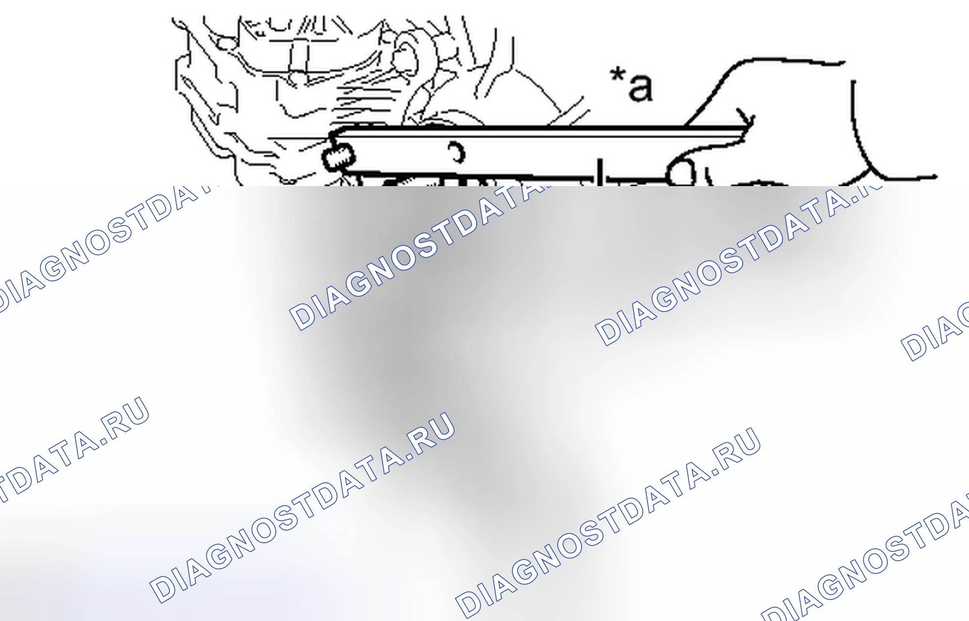 Рис. 145. Haval Raptor I