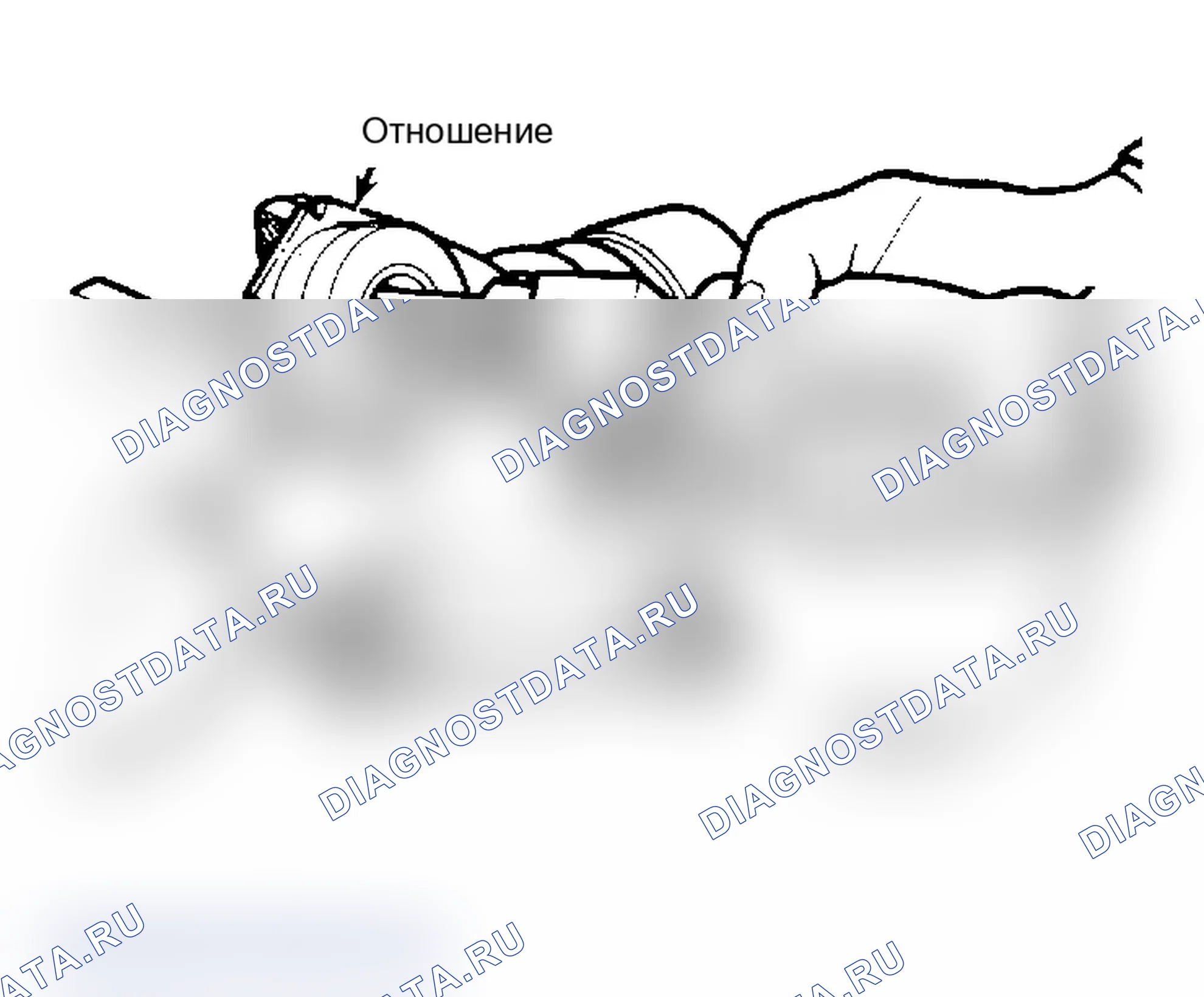 Рис. 4: Снятие кольца подшипника червячного вала с доводчика. Установите новую обойму с помощью оправочного пресса.. Chevrolet Pickup R20 