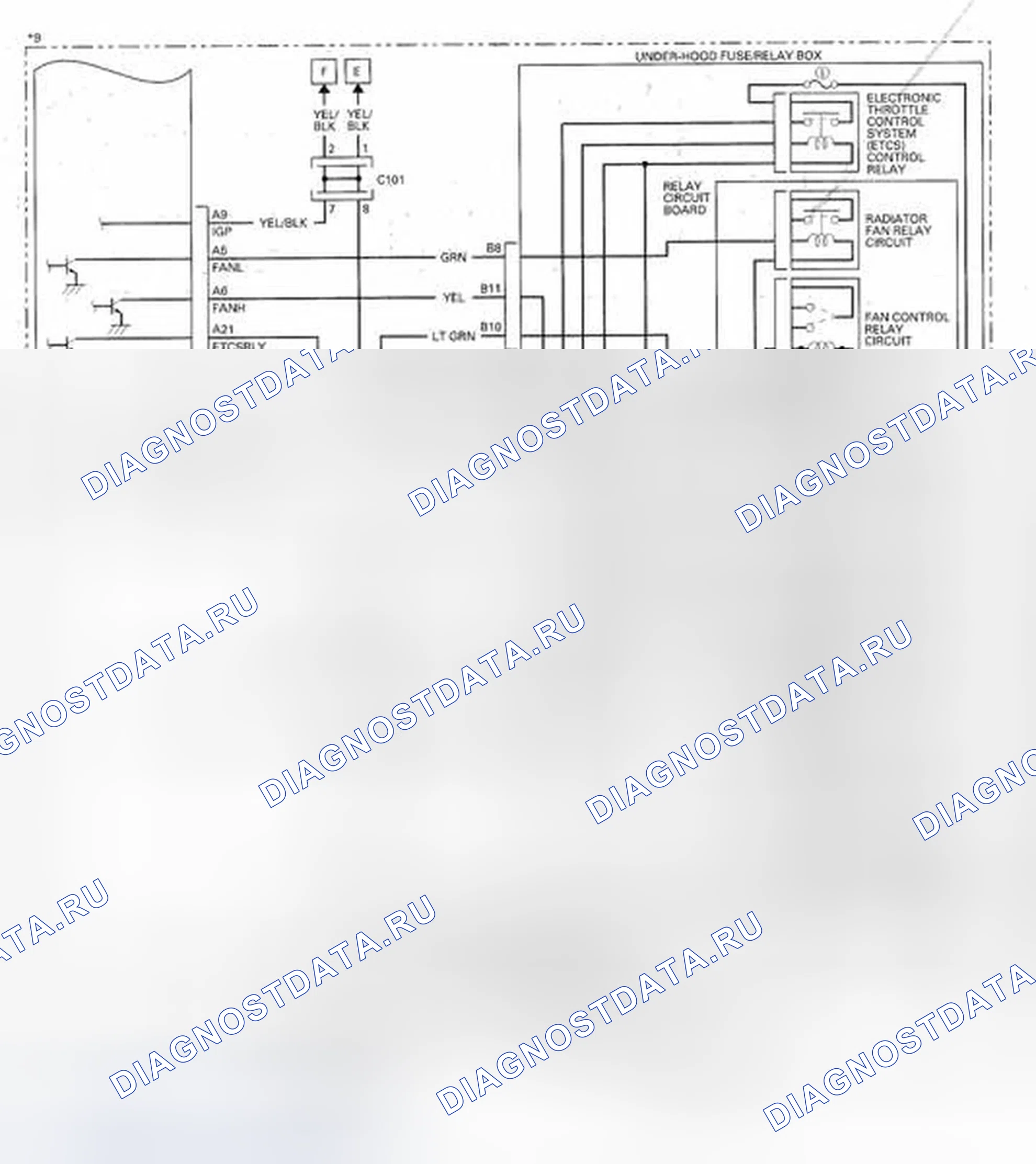 Рис. 1008. Honda Accord VIII рестайлинг