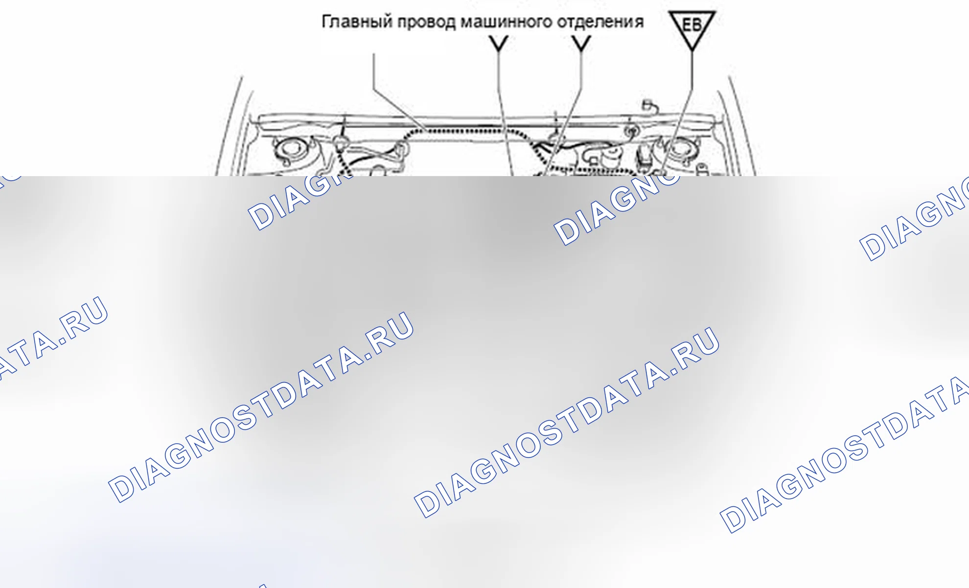 Рис. 390: Фильтр шума (зажигание № 1) Вид с торца разъема (N 1). Toyota 4Runner IV рестайлинг