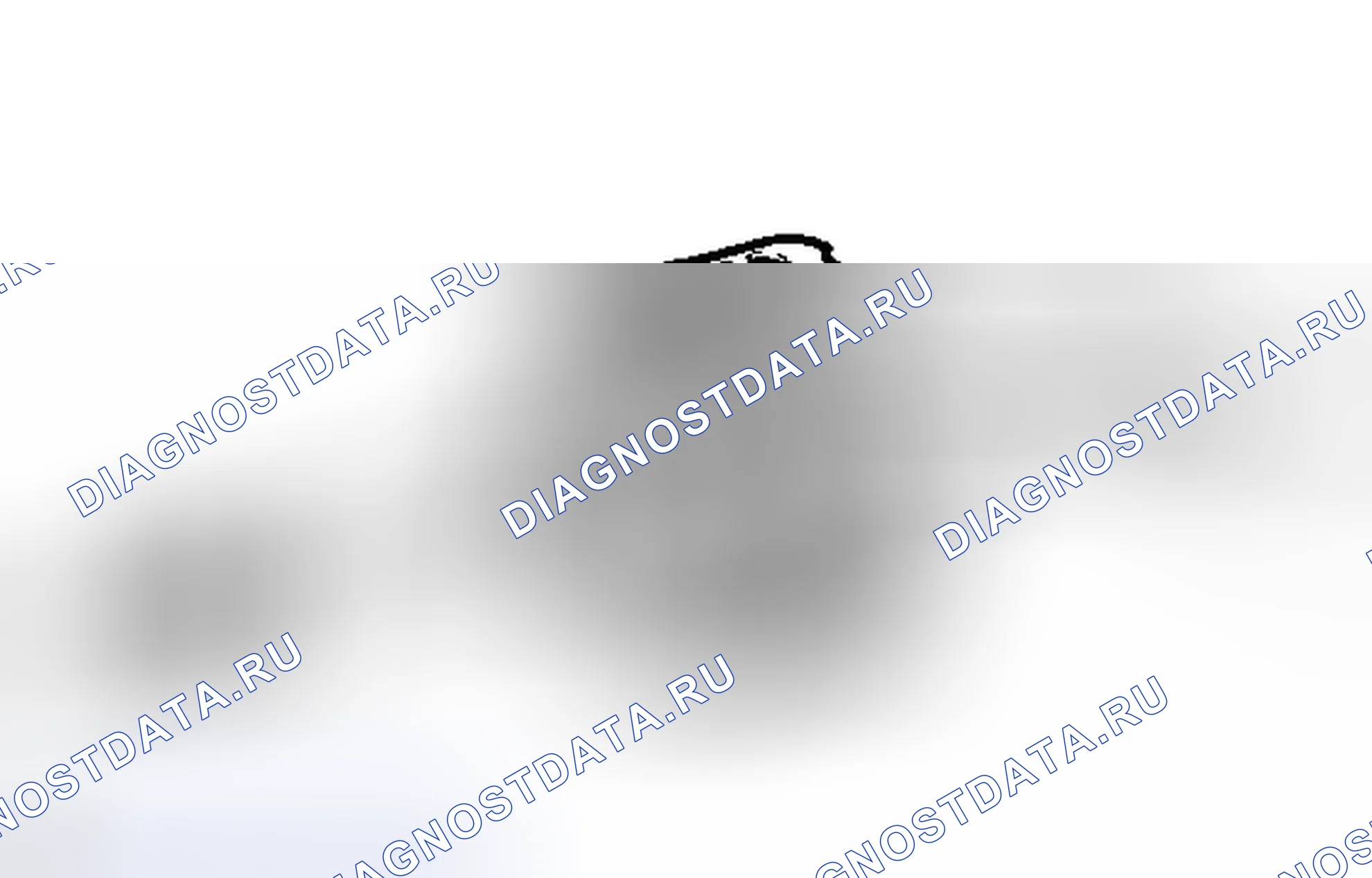 Рис. 282. Honda Accord IV