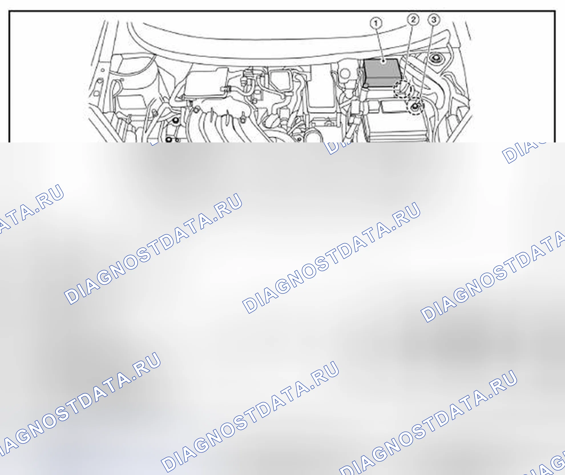 Рис. 13: Расположение компонентов. Audi RS6 C8