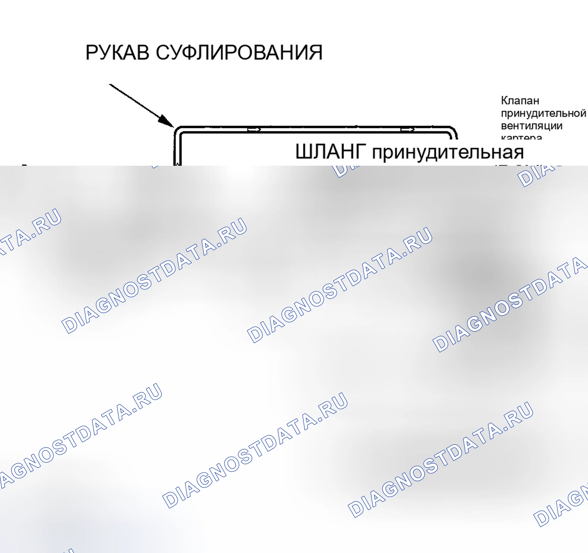Рис. 51: Система принудительной вентиляции картера (принудительная вентиляция картера (PCV) (принудительная вентиляция картера)). Honda Insight ZE1