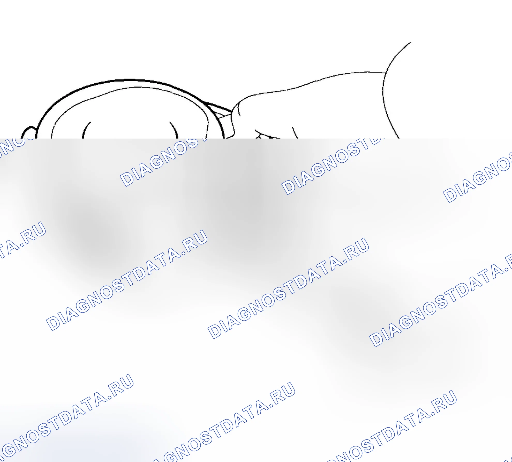 Рис. 422: ПОРШЕНЬ И КОЛЬЦА. Hyundai Tucson I
