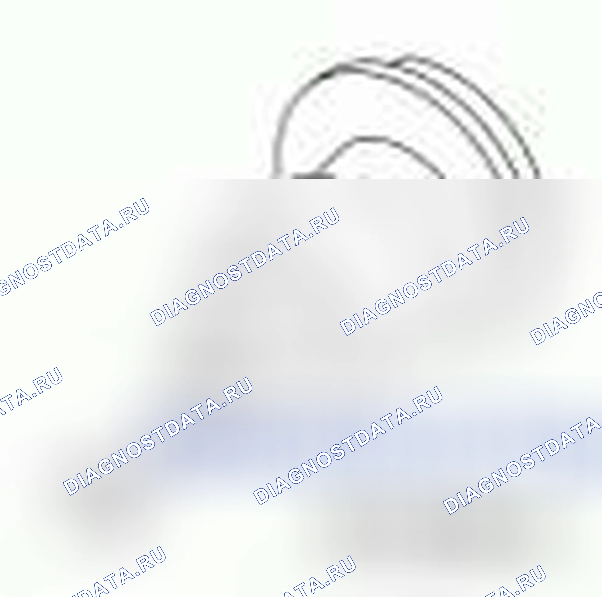 Рис. 334. Hyundai ix55 I