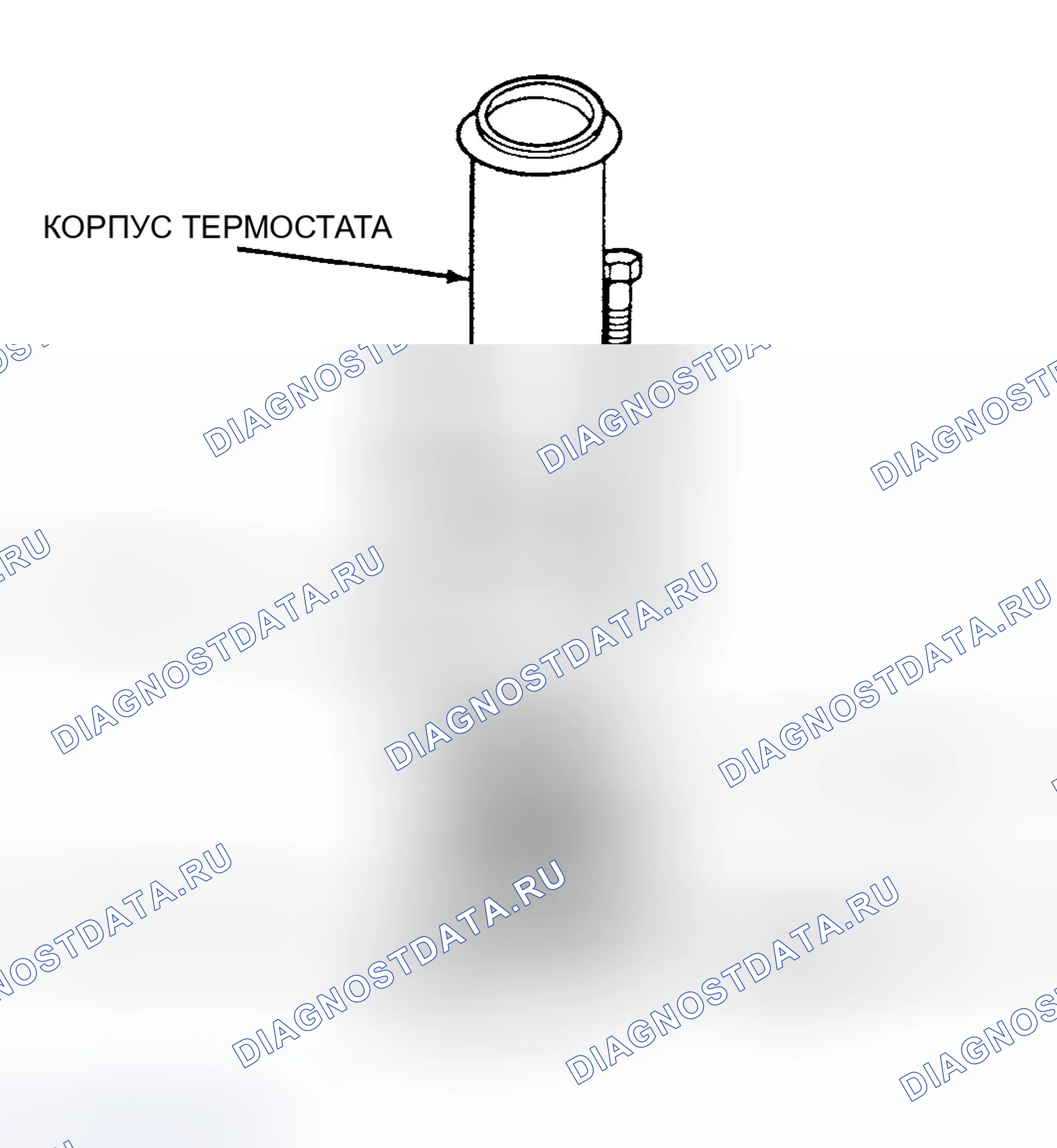 Рис. 73. Dodge Dakota WS 