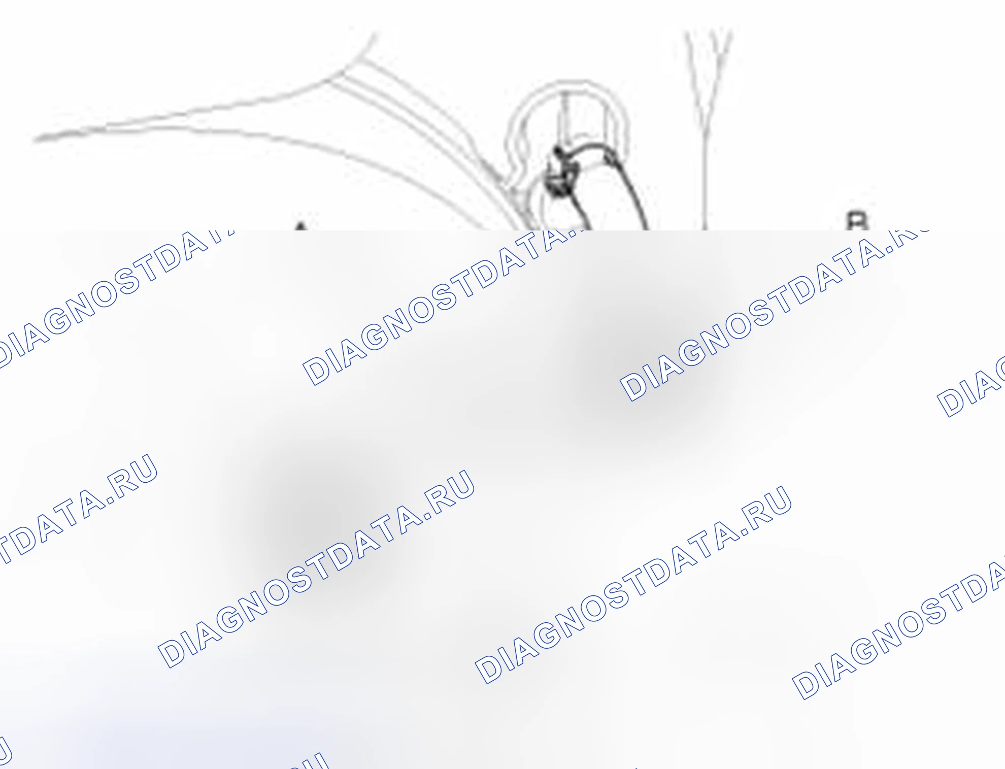Рис. 9. Kia Forte I
