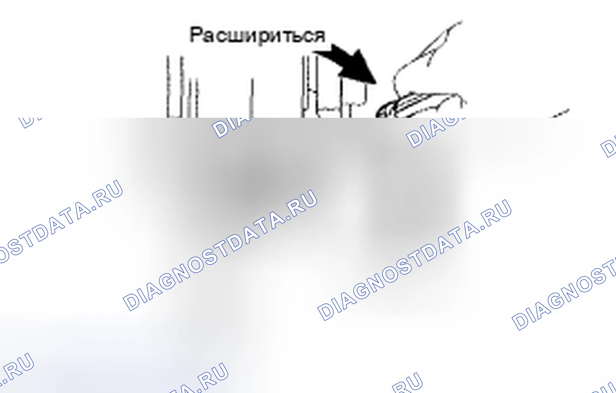 Рис. 91: РЕГУЛИРОВКА стояночного тормоза. Toyota Camry XV40