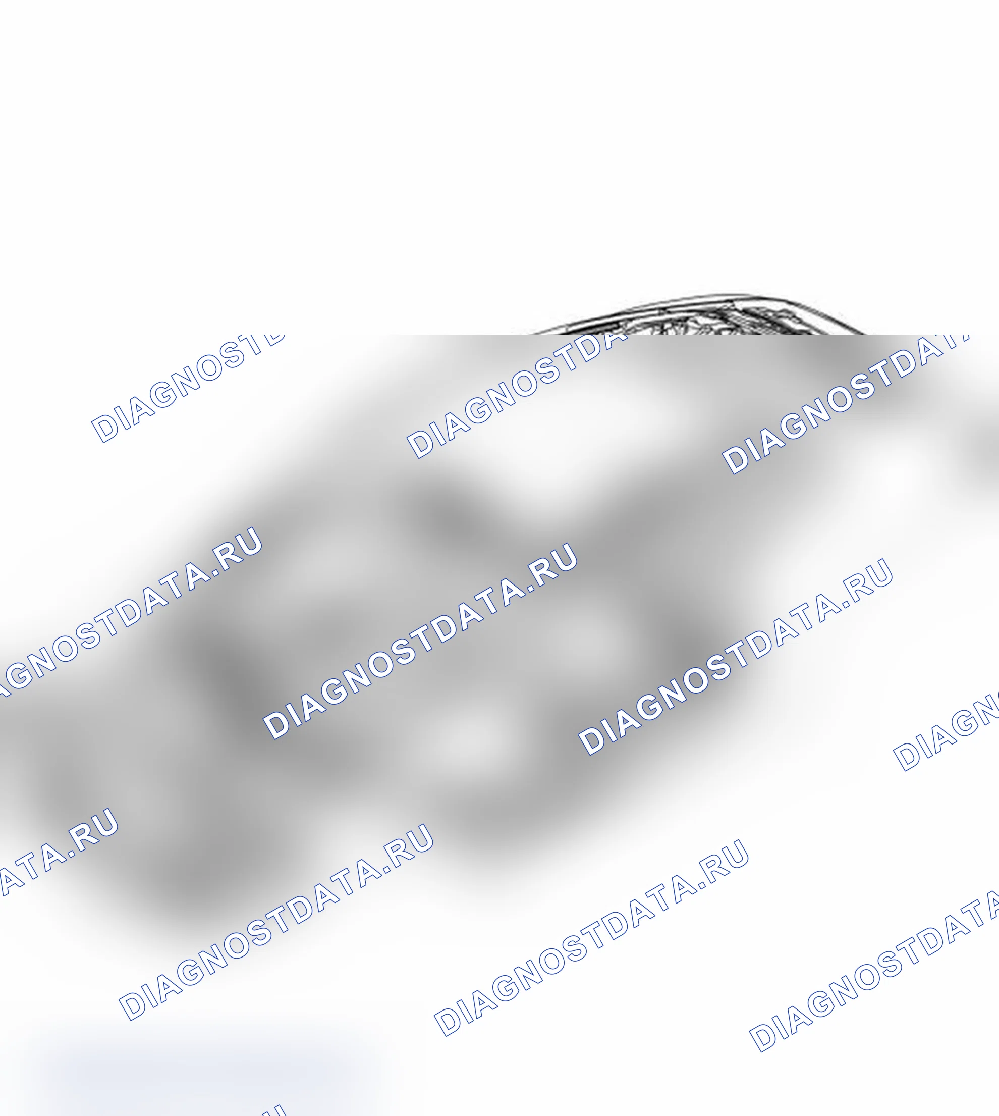 Рис. 646. Porsche 911 GT3 997