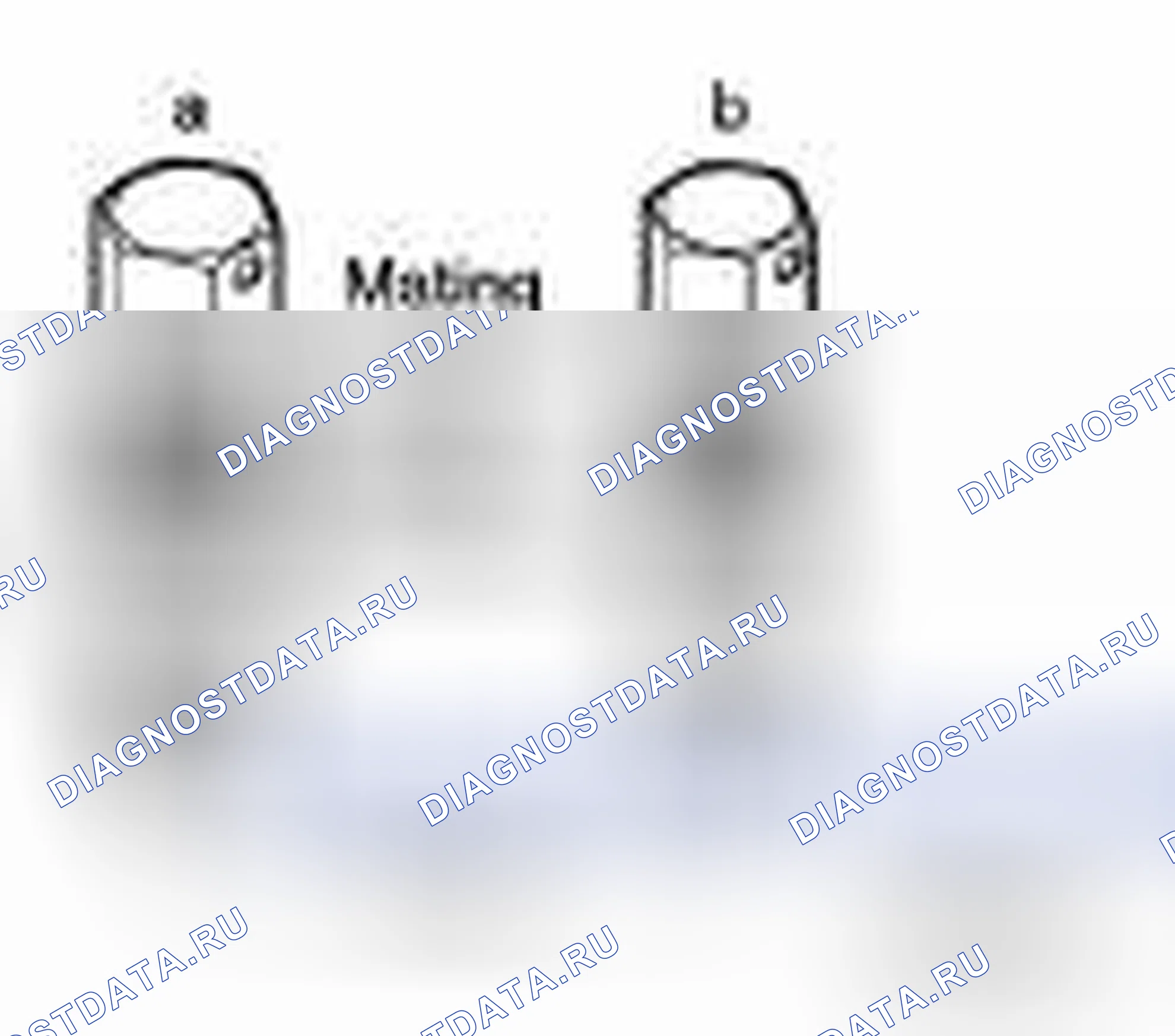 Рис. 154. Nissan Frontier D40
