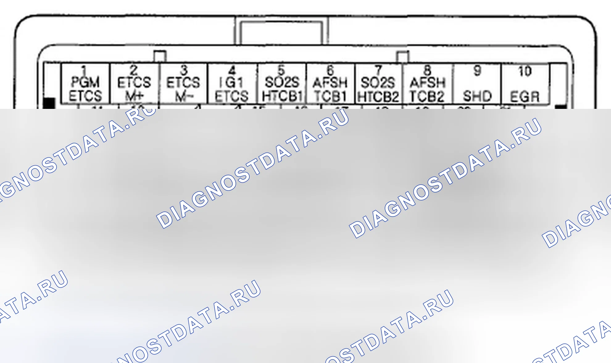 Рис. 386: Входы и выходы ИКМ на разъеме ИКМ C (o) (49P) (модель ' 07). Honda Odyssey IV