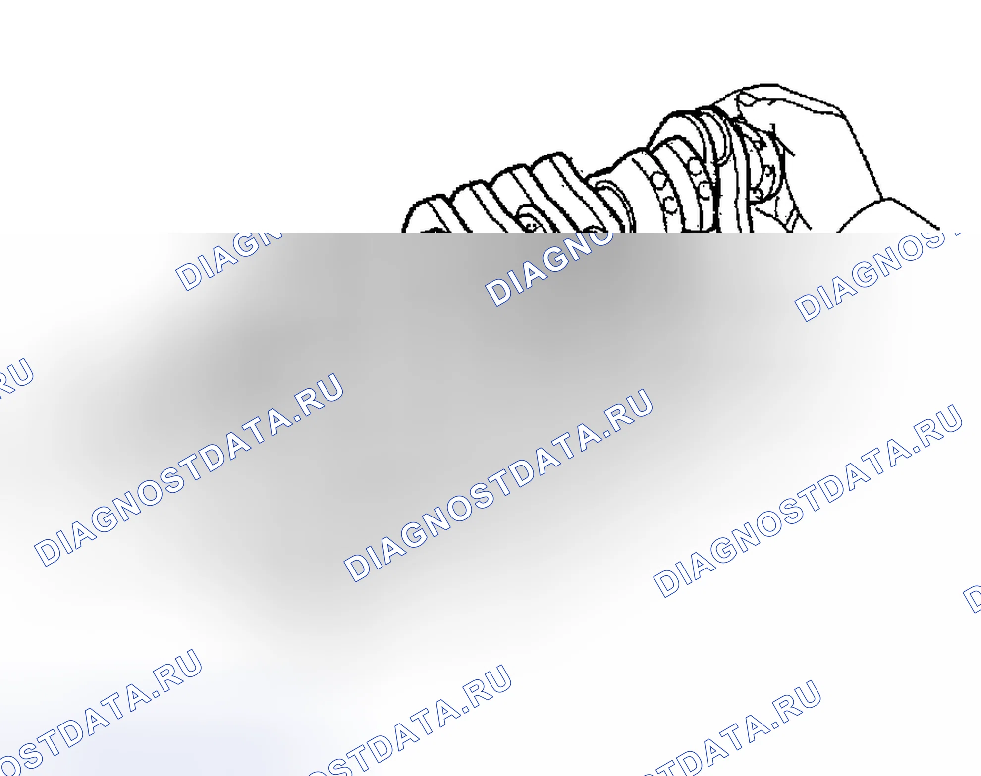 Рис. 272. Haval Menglong I