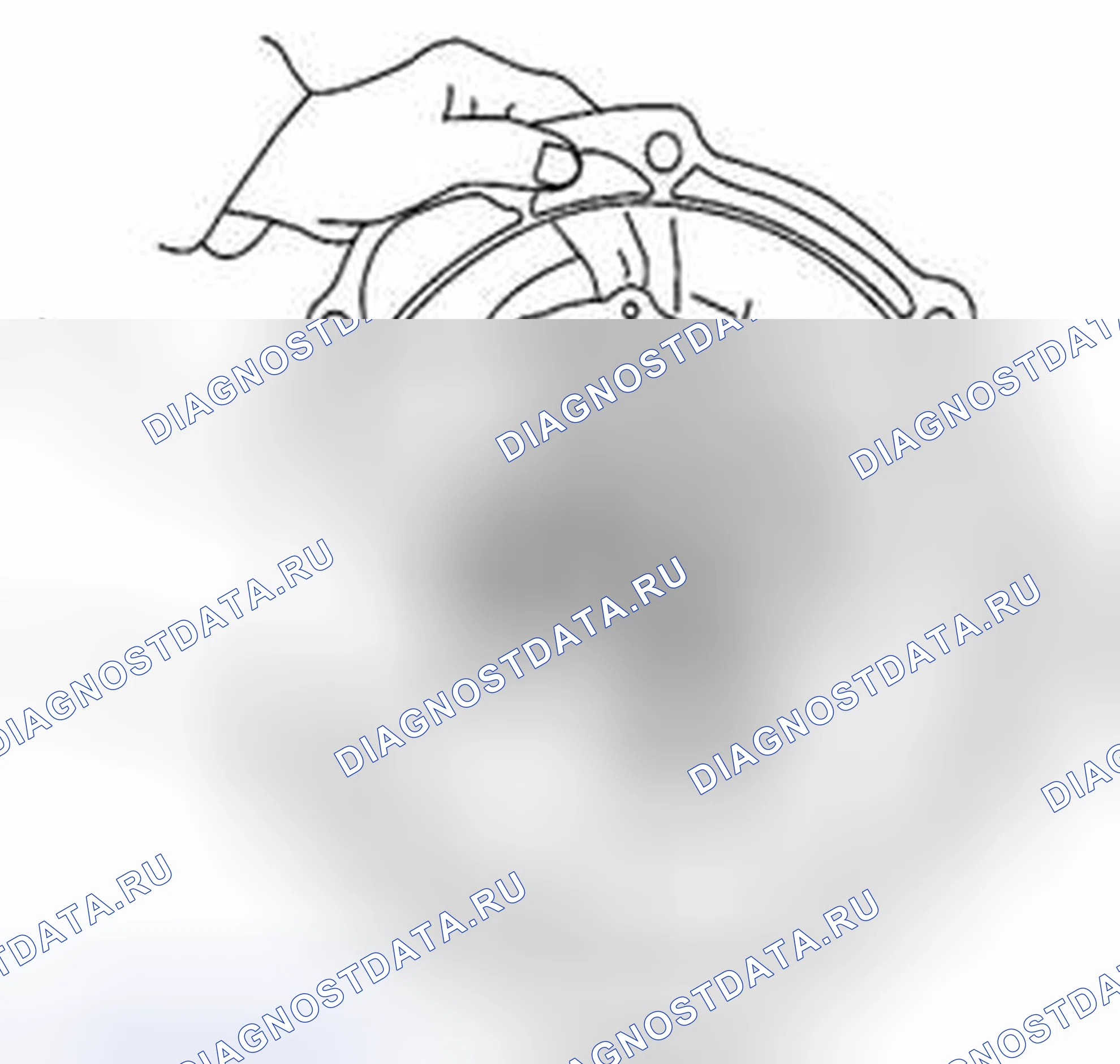 Рис. 168. Suzuki Equator I