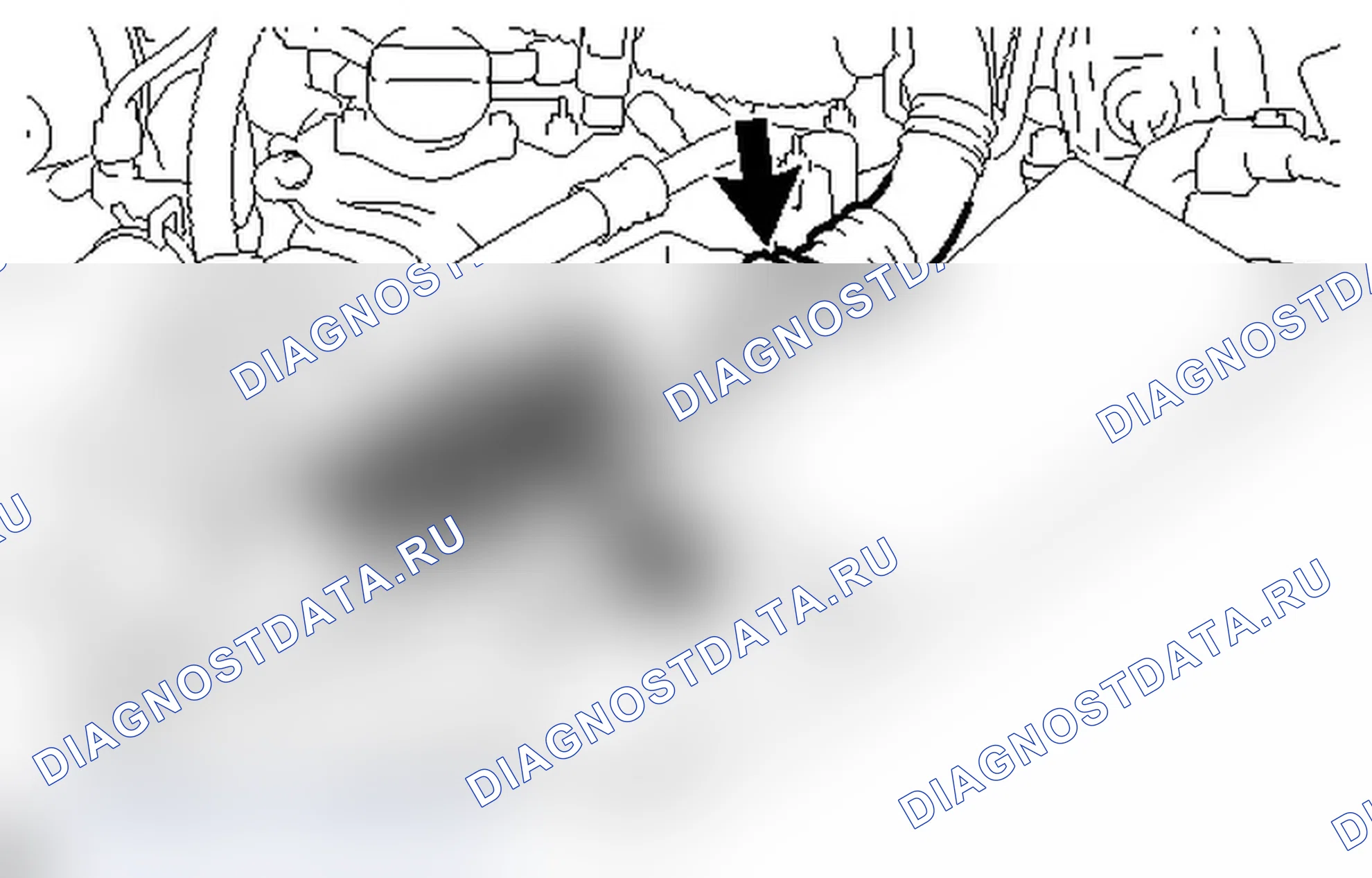 Рис. 129. Lexus IS F I