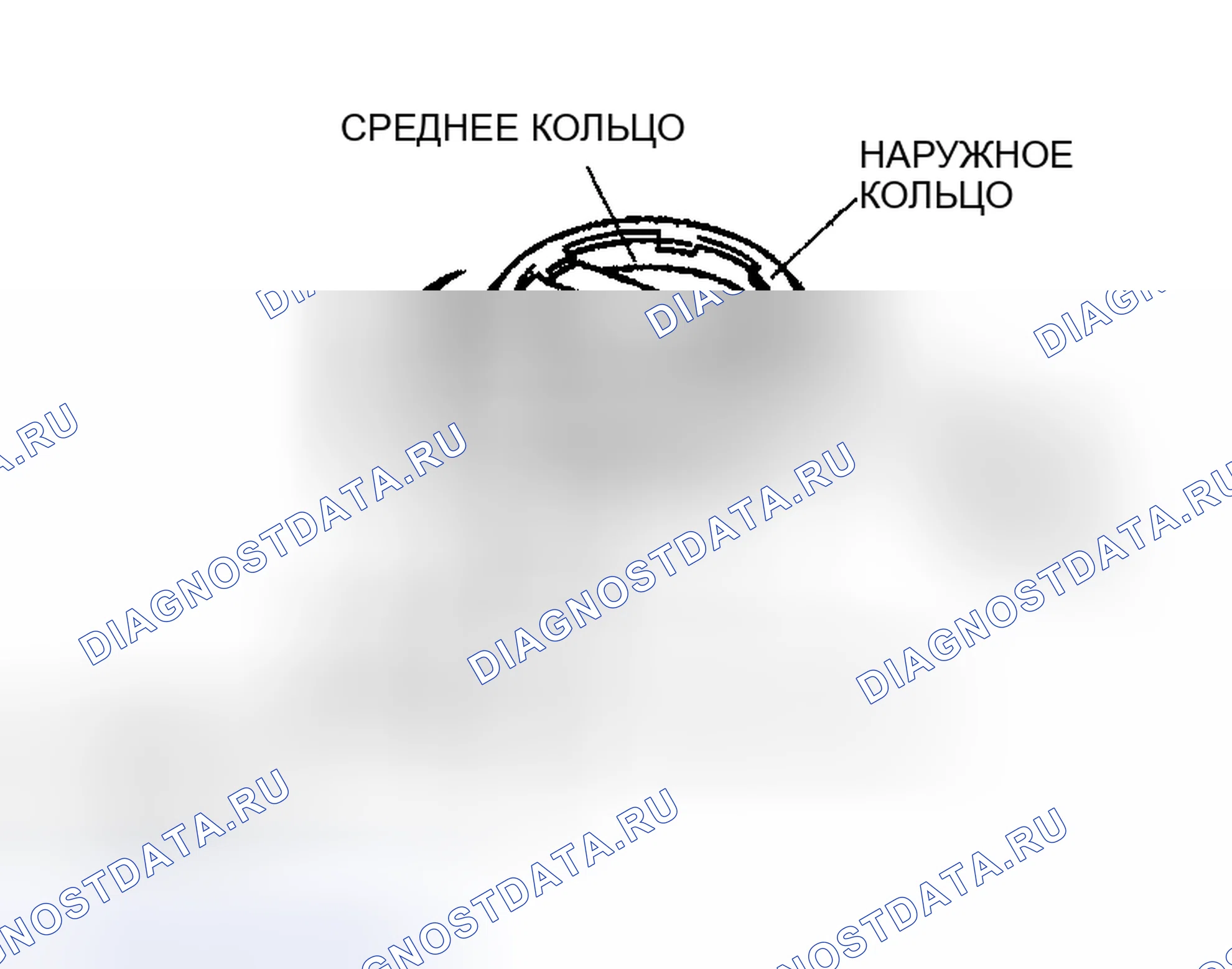 Рис. 159. Honda CR-V III