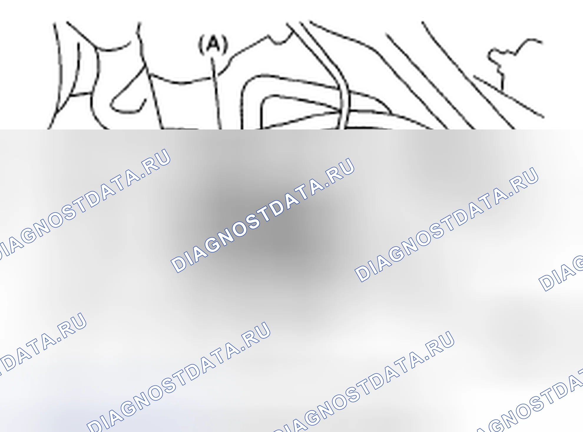 Рис. 103. Honda Vigor I