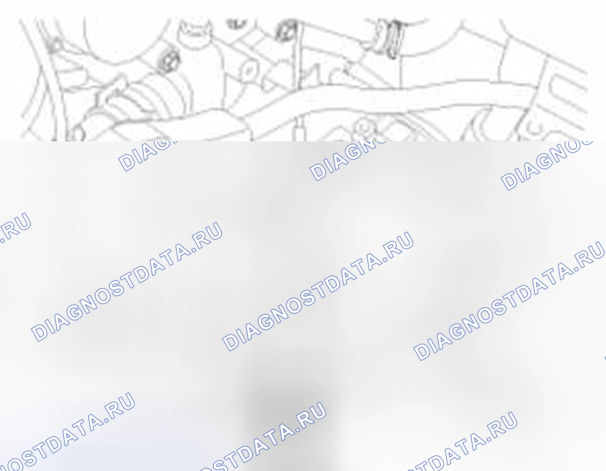 Рис. 203. Haval Beast (Shenshou) I