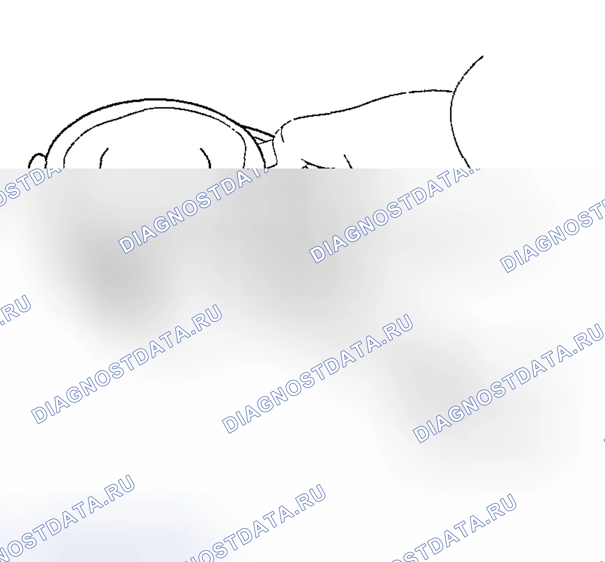 Рис. 87. Hyundai Tiburon II