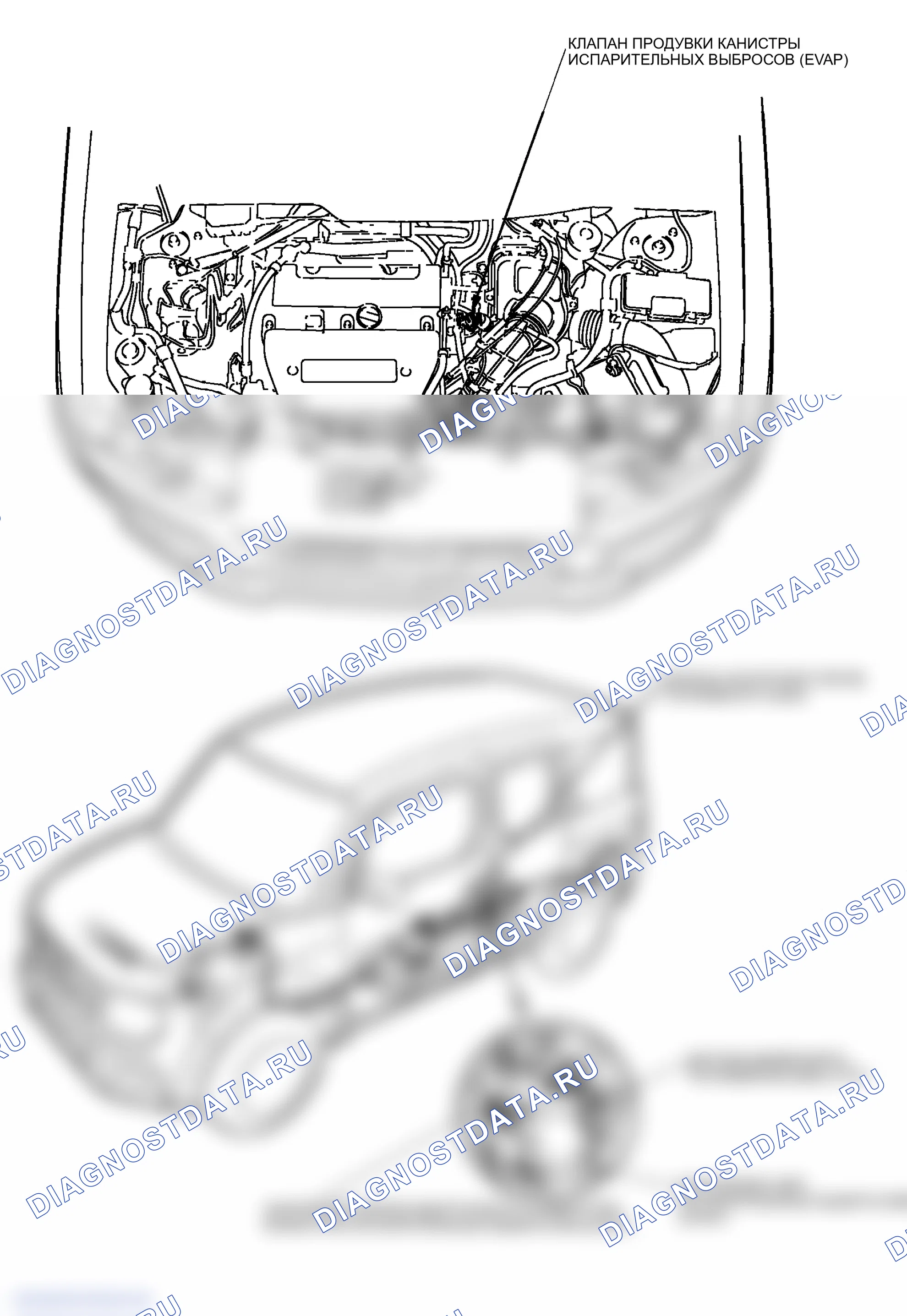 Рис. 1: Указатель расположения компонентов. Honda Element I