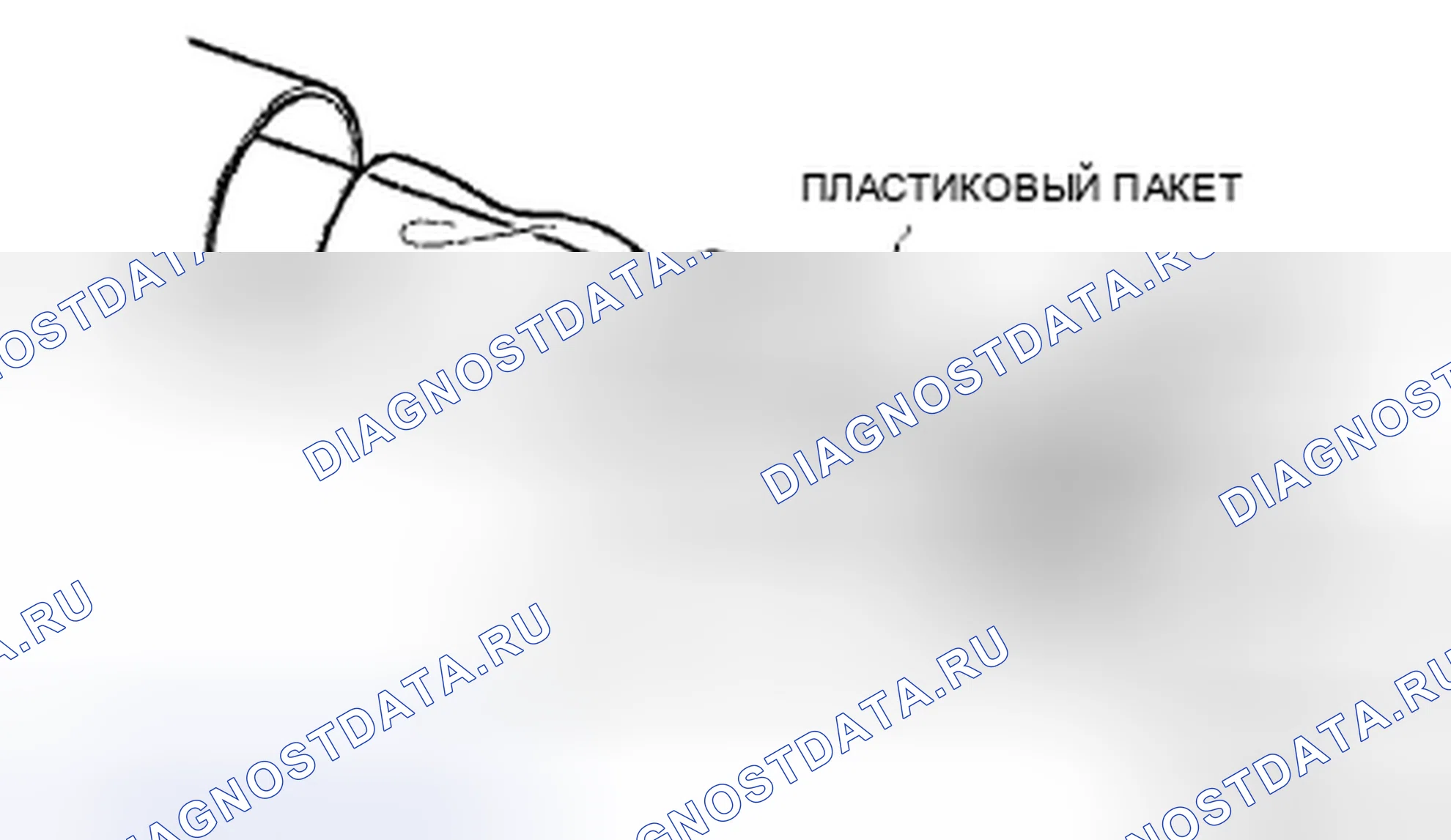 Рис. 38: Масляное уплотнение (со стороны держателя), примечание по сборке держателя. Mazda MX-5 NC рестайлинг
