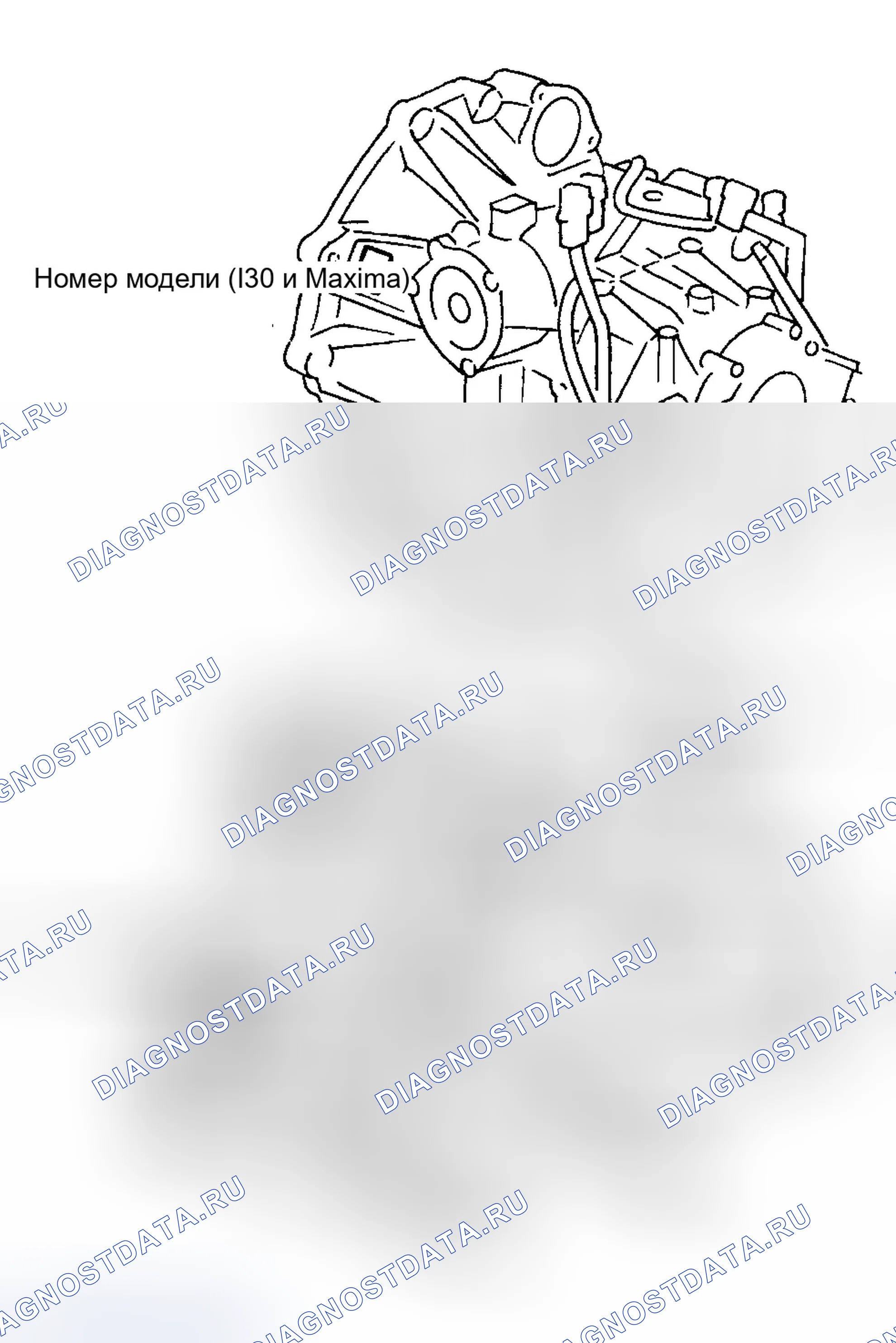 Рис. 83: ИДЕНТИФИКАЦИЯ. Infiniti I35 II