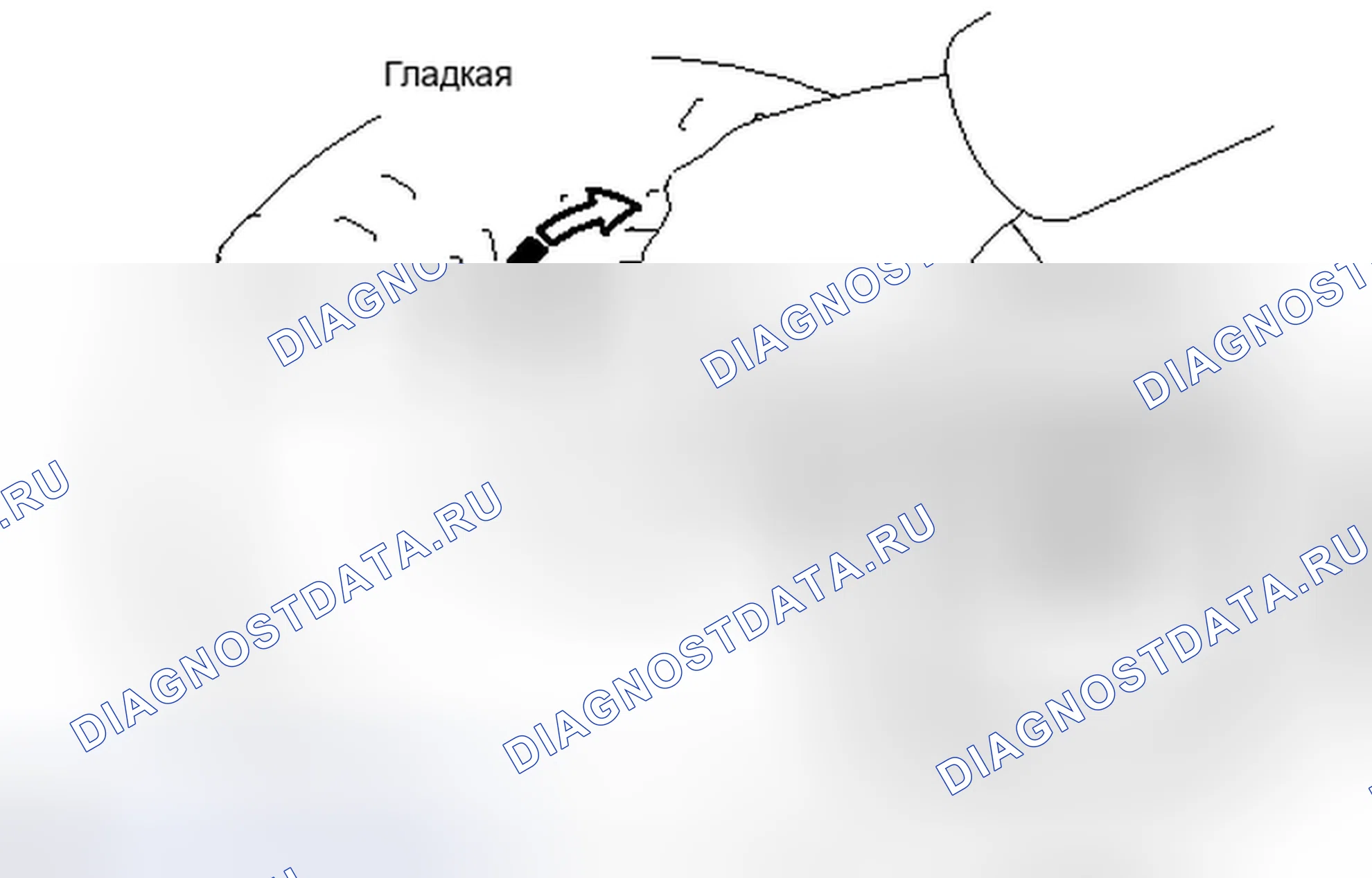 Рис. 137: ПРОВЕРКА автоматической трансмиссии (акпп). Haval H4 I