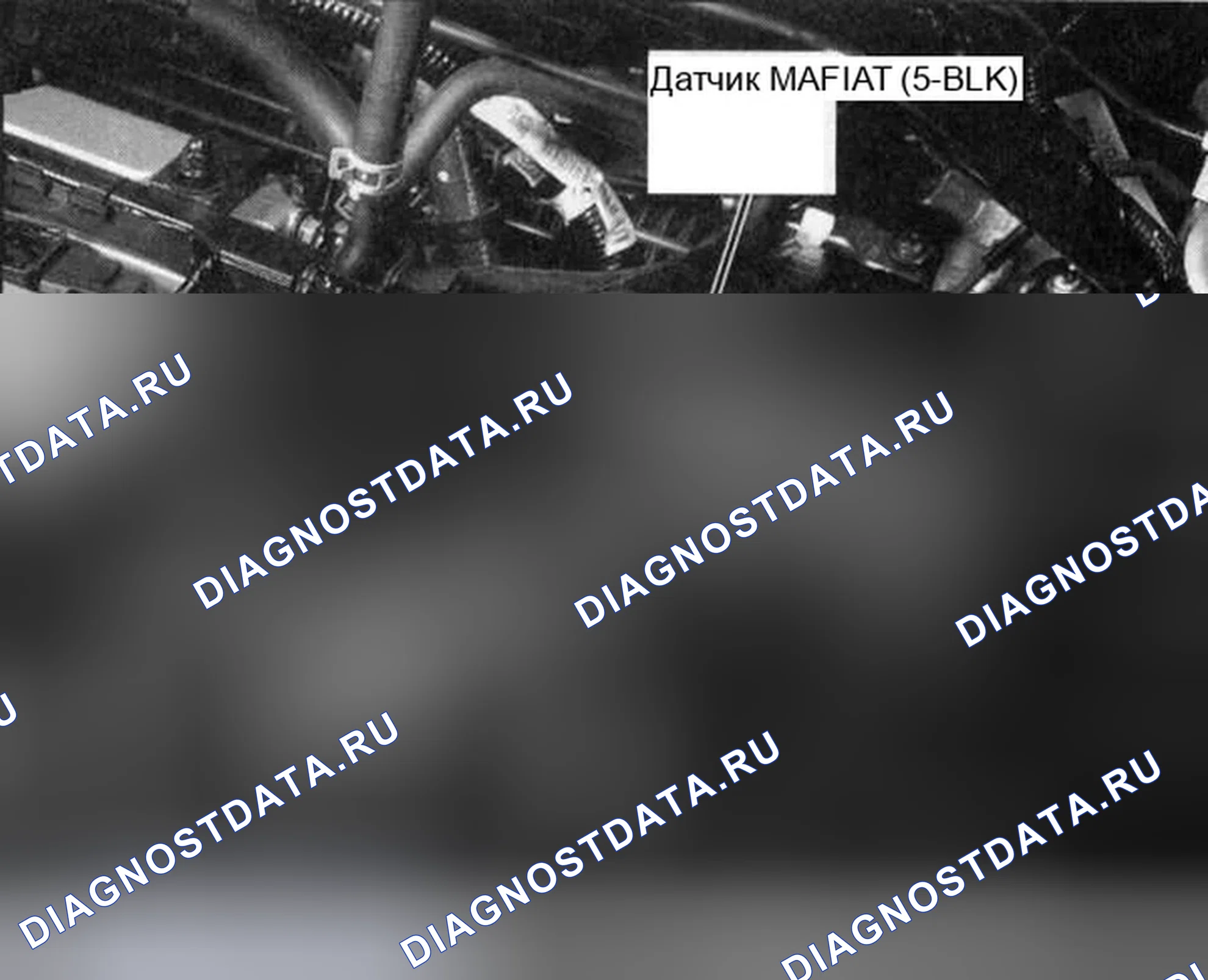 Рис. 13. Honda Element YH2 рестайлинг