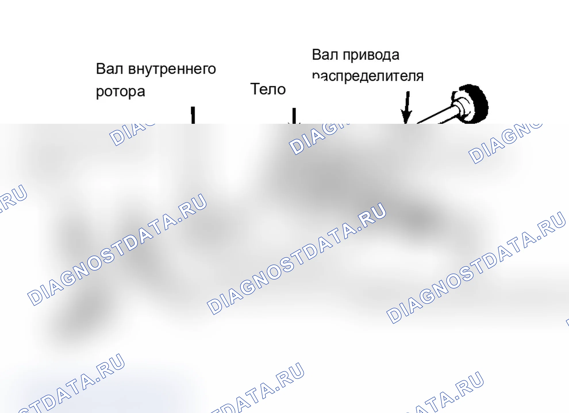 Рис. 32: Типовой масляный насос роторного типа. BMW X5 M E70